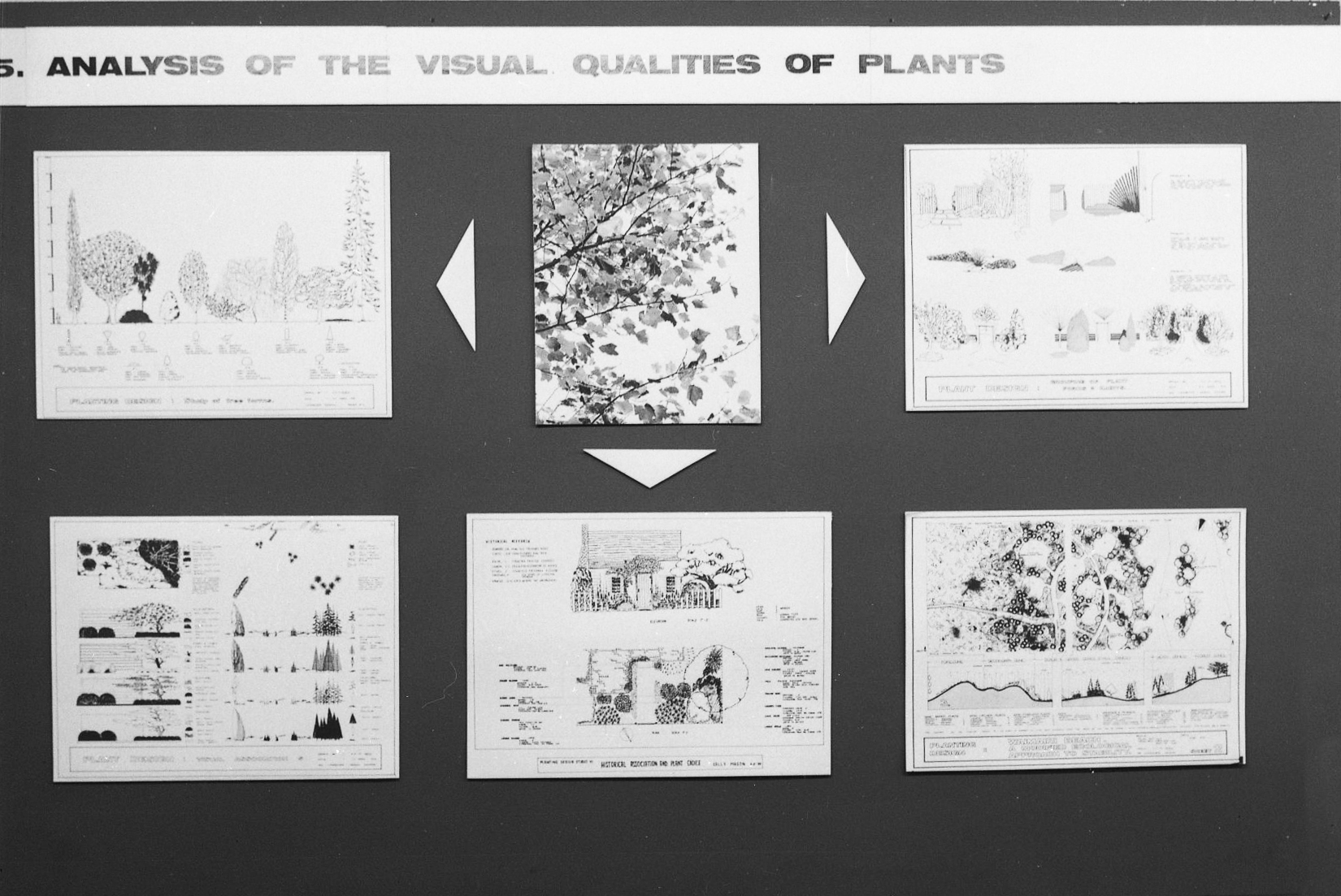 1972 Landscape Architecture Students Display in Building Centre 07
