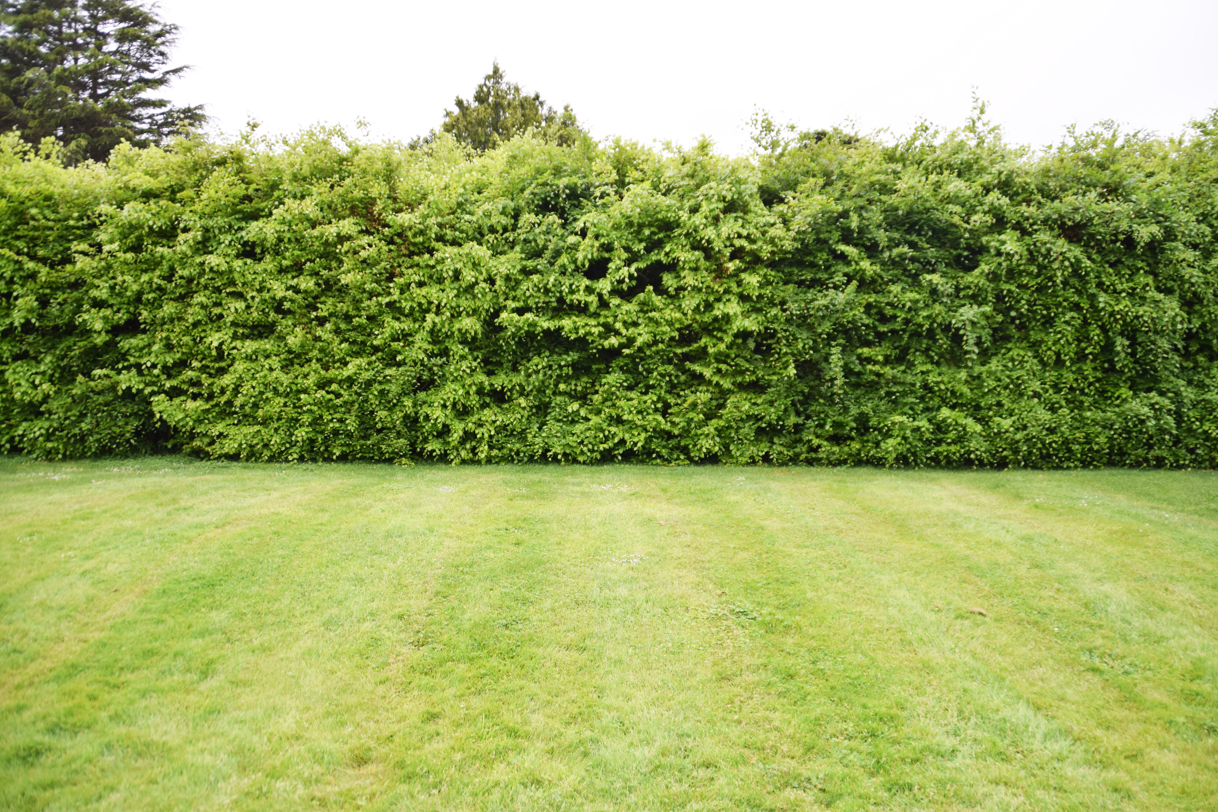 2019 SoLA 50th Anniversary Reunion 11062019 075