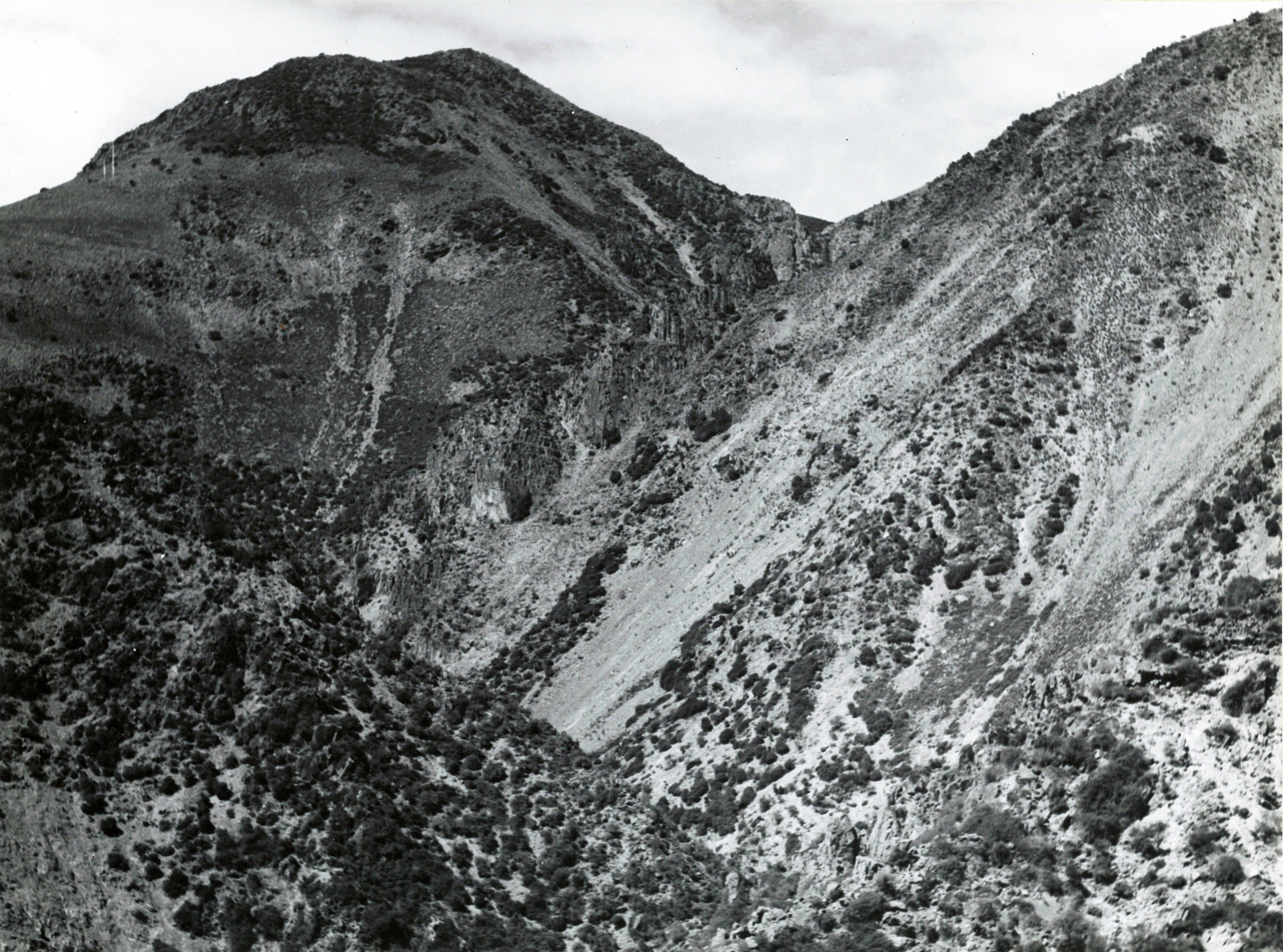 5 The back of Chapman' Run