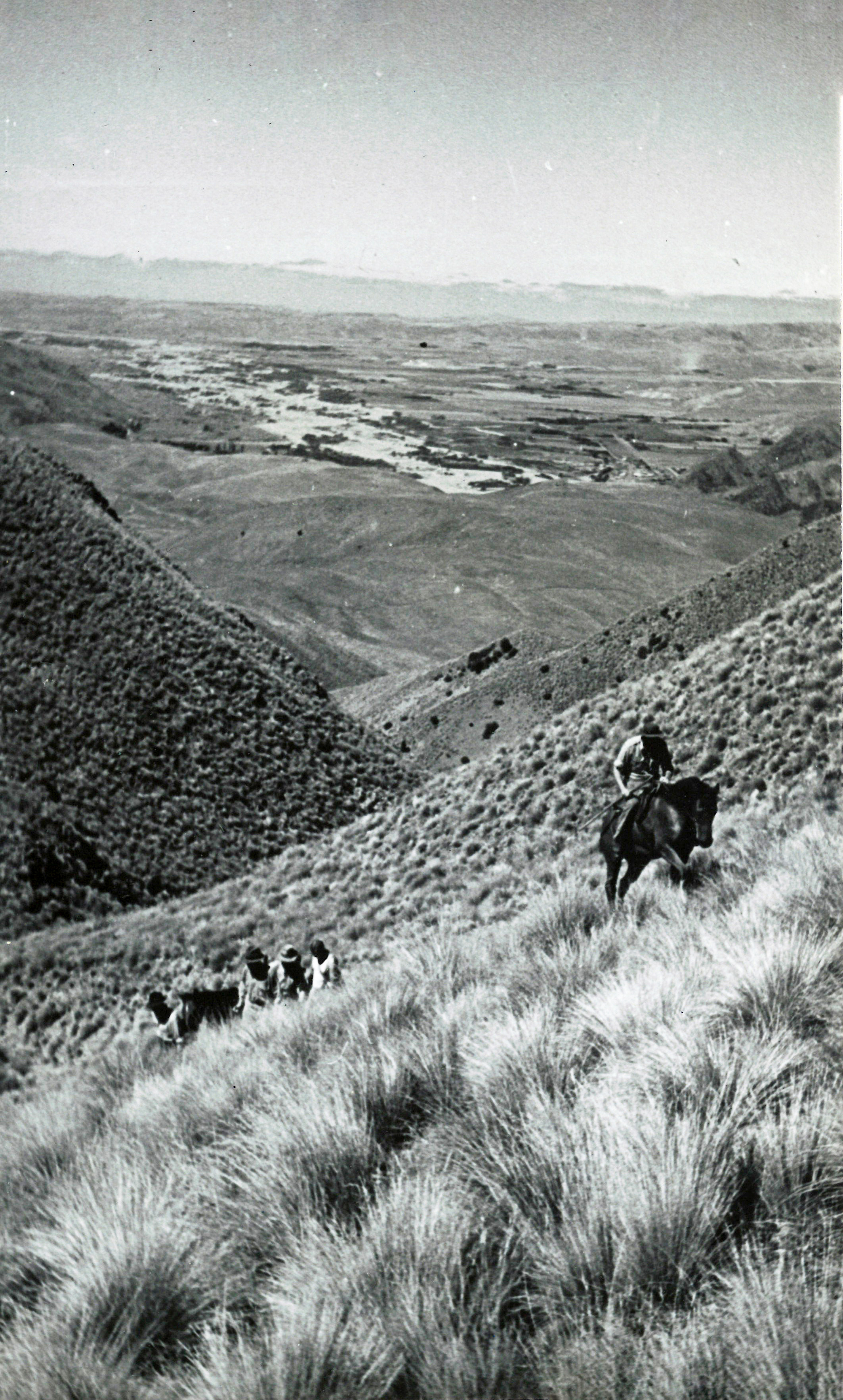 22 On the lower slopes of Davis Run