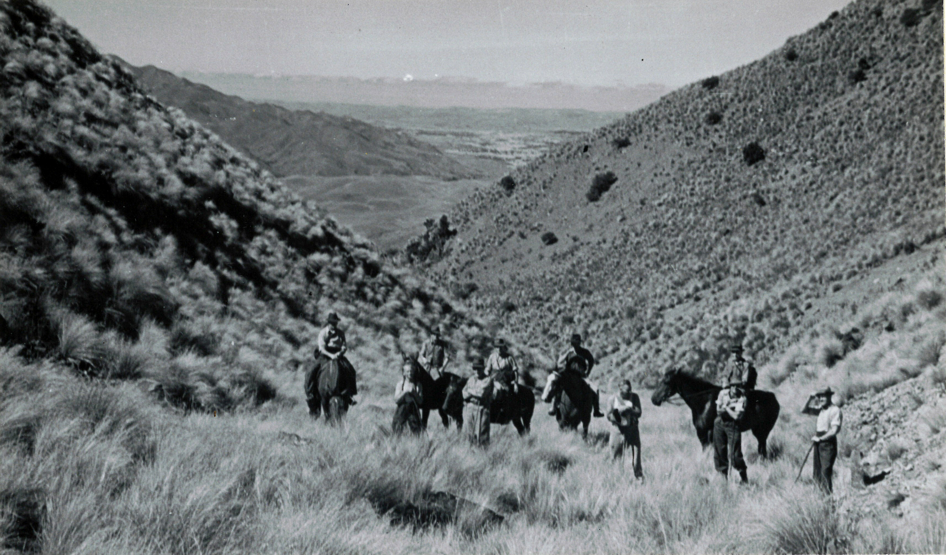 23 On the lower slopes of Davis Run