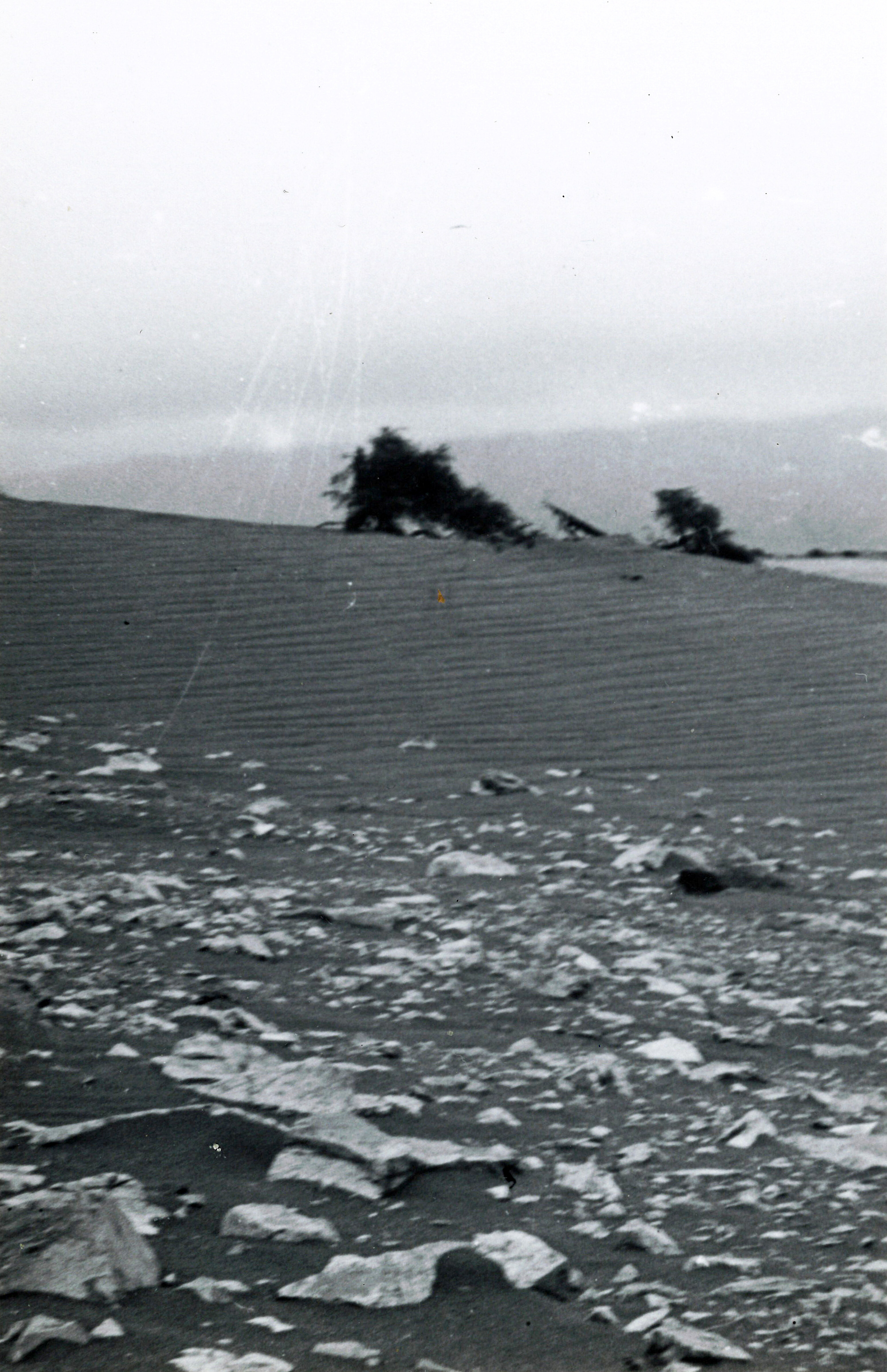49 Wind erosion