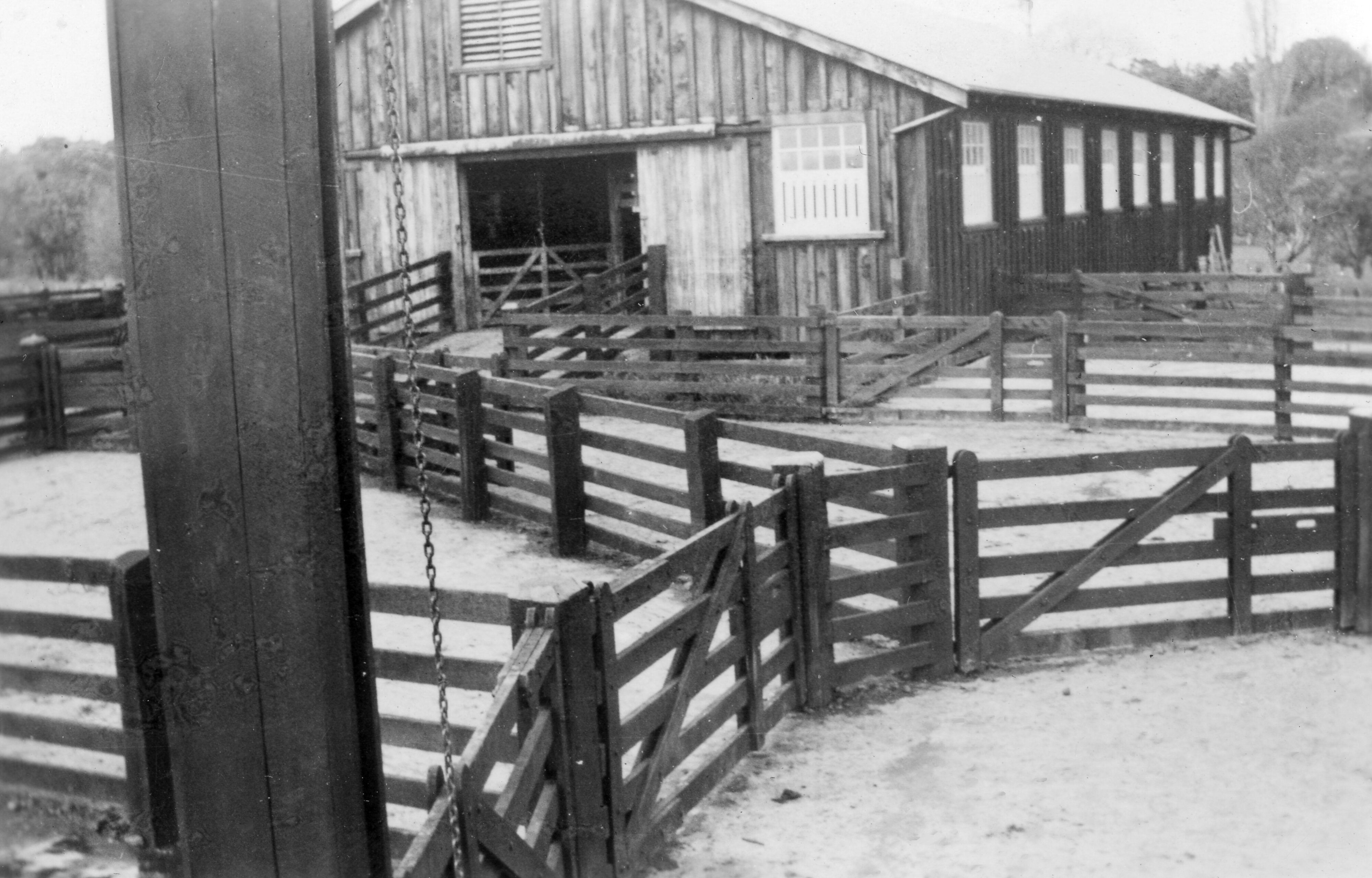  Bruce Ryde photo 051 - Sheep shed &amp; yards