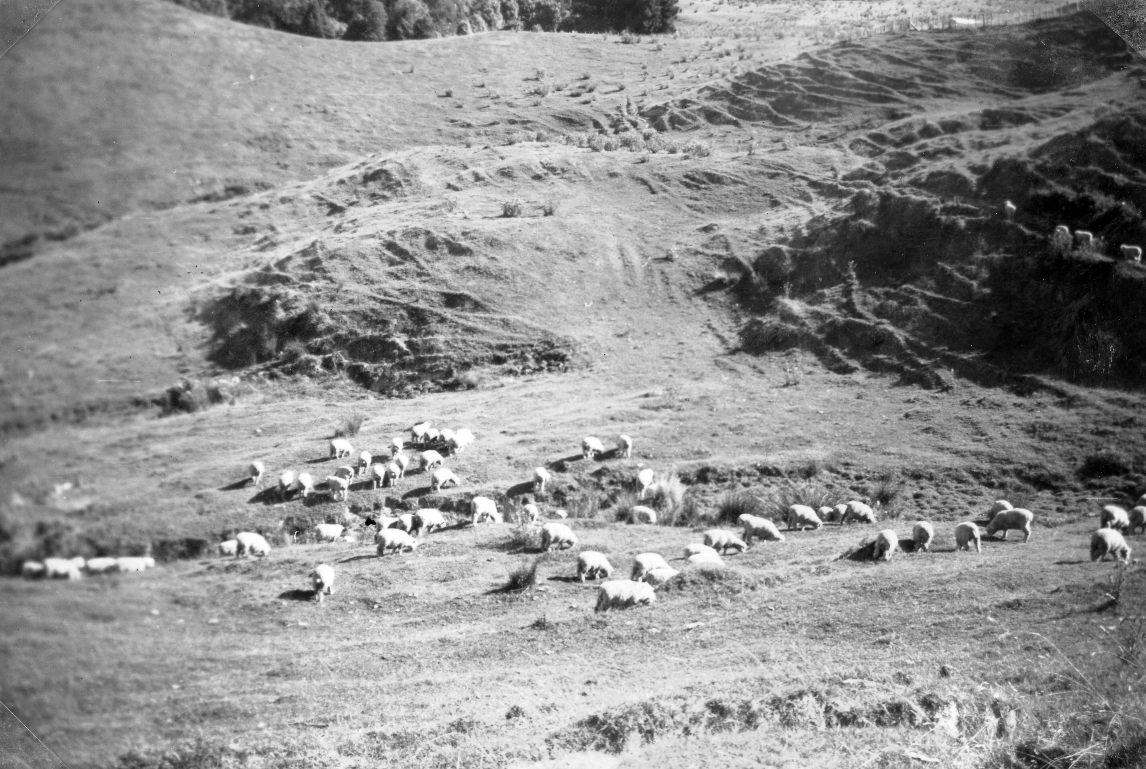 RFC Martin Biss Photo 007