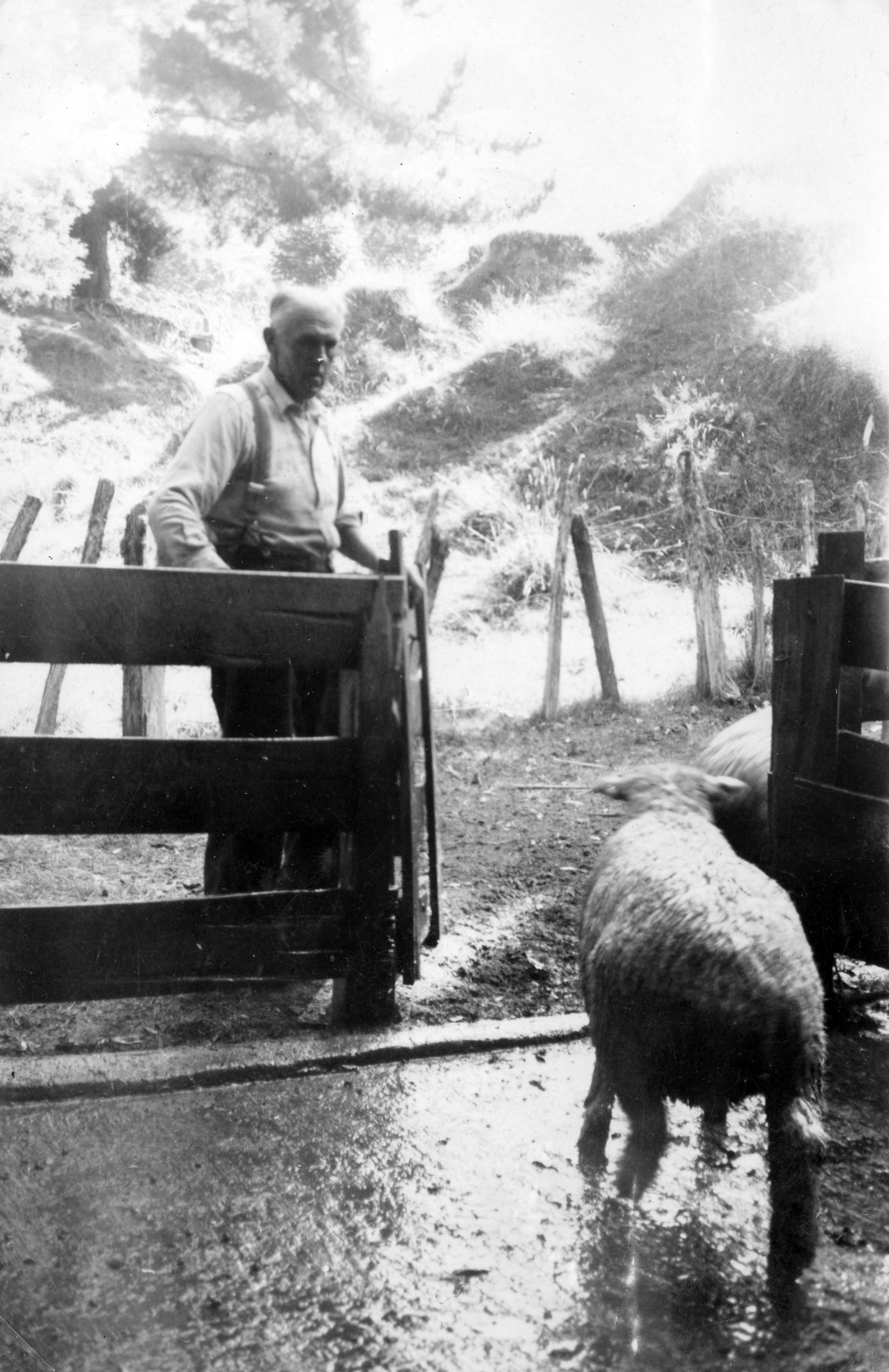 RFC Martin Biss Photo 014