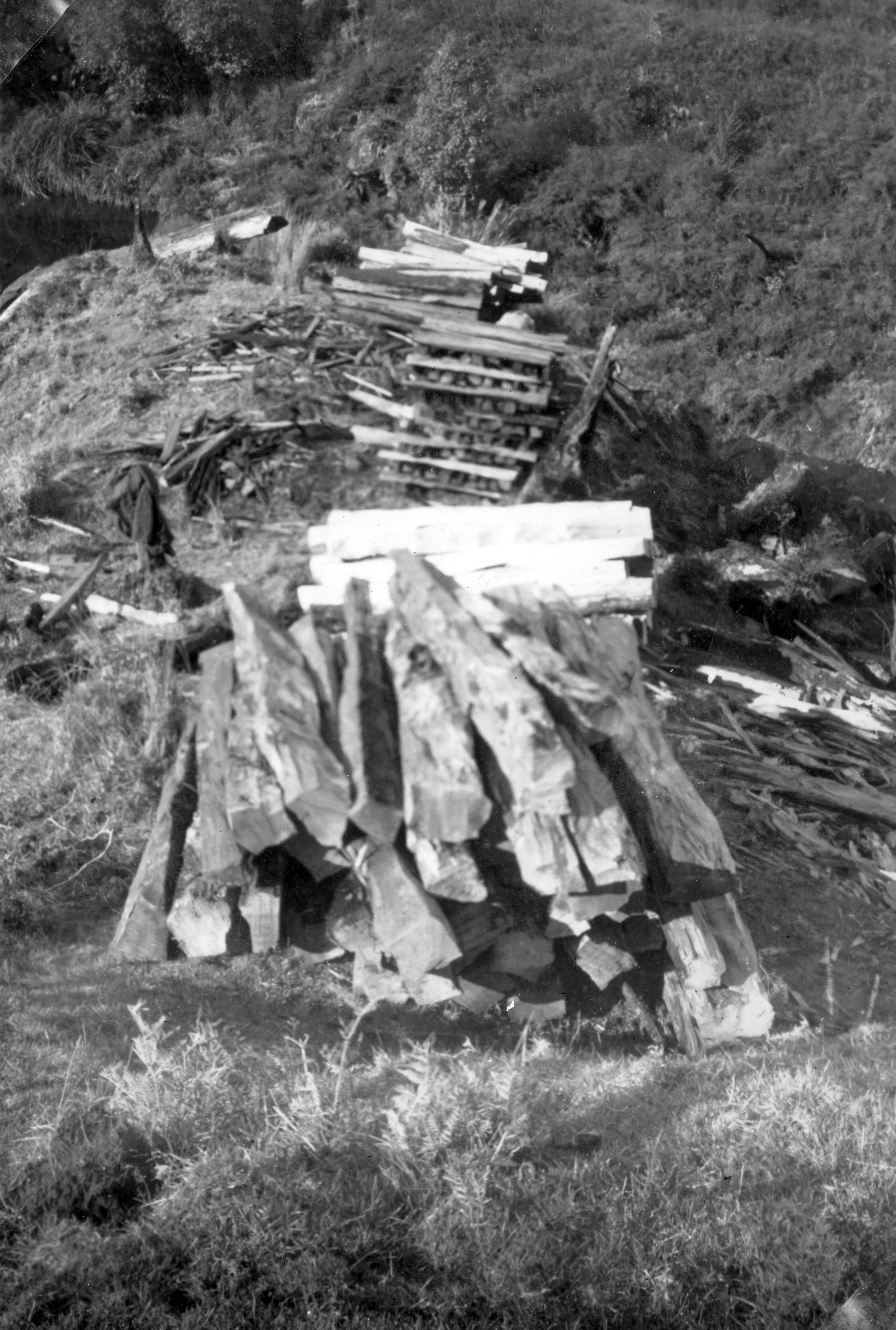 RFC Martin Biss Photo 025