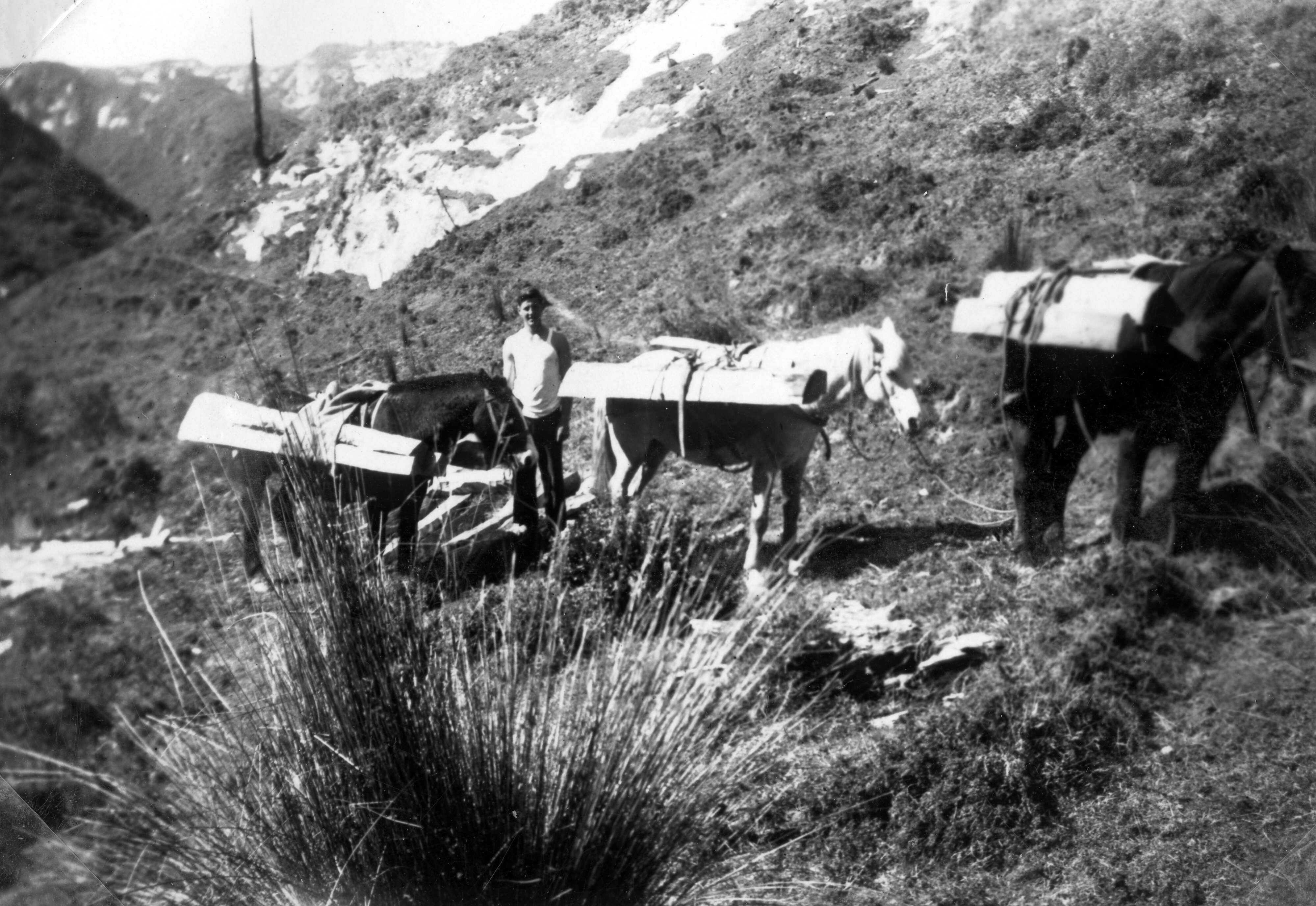 RFC Martin Biss Photo 027