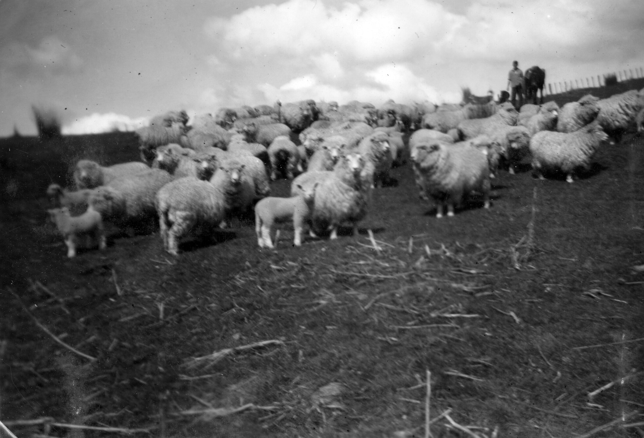 RFC Martin Biss Photo 043