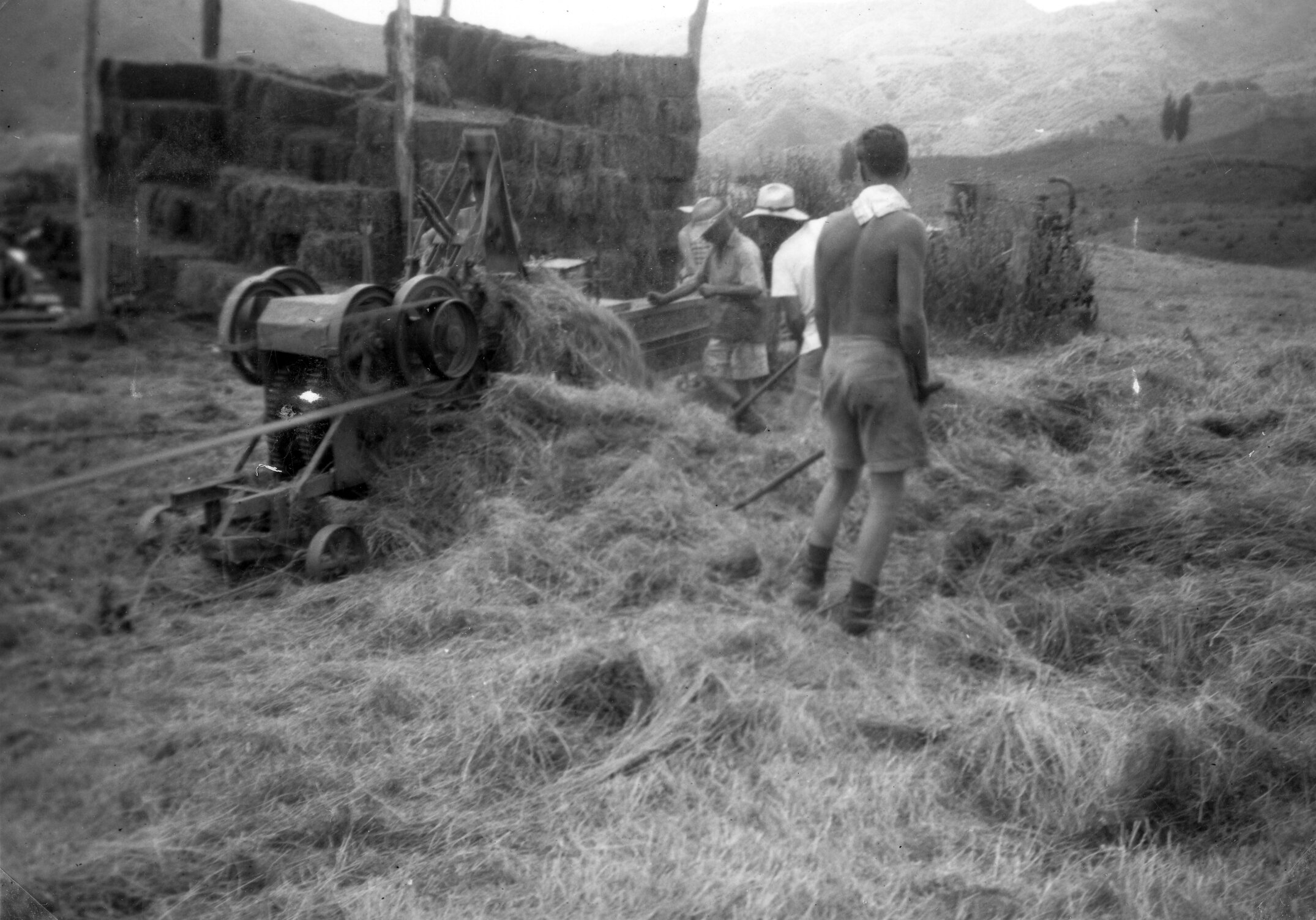 RFC Martin Biss Photo 045