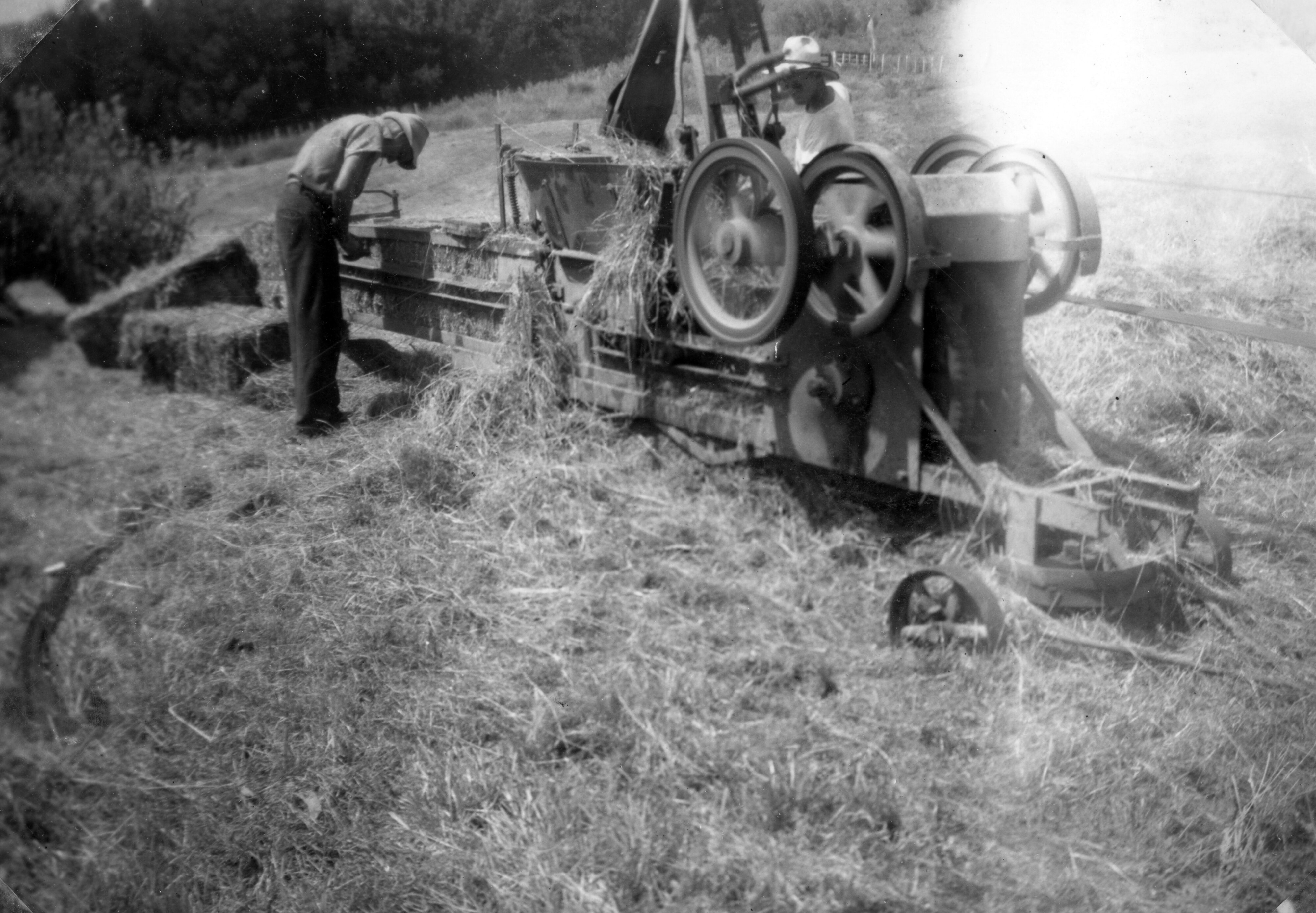 RFC Martin Biss Photo 046