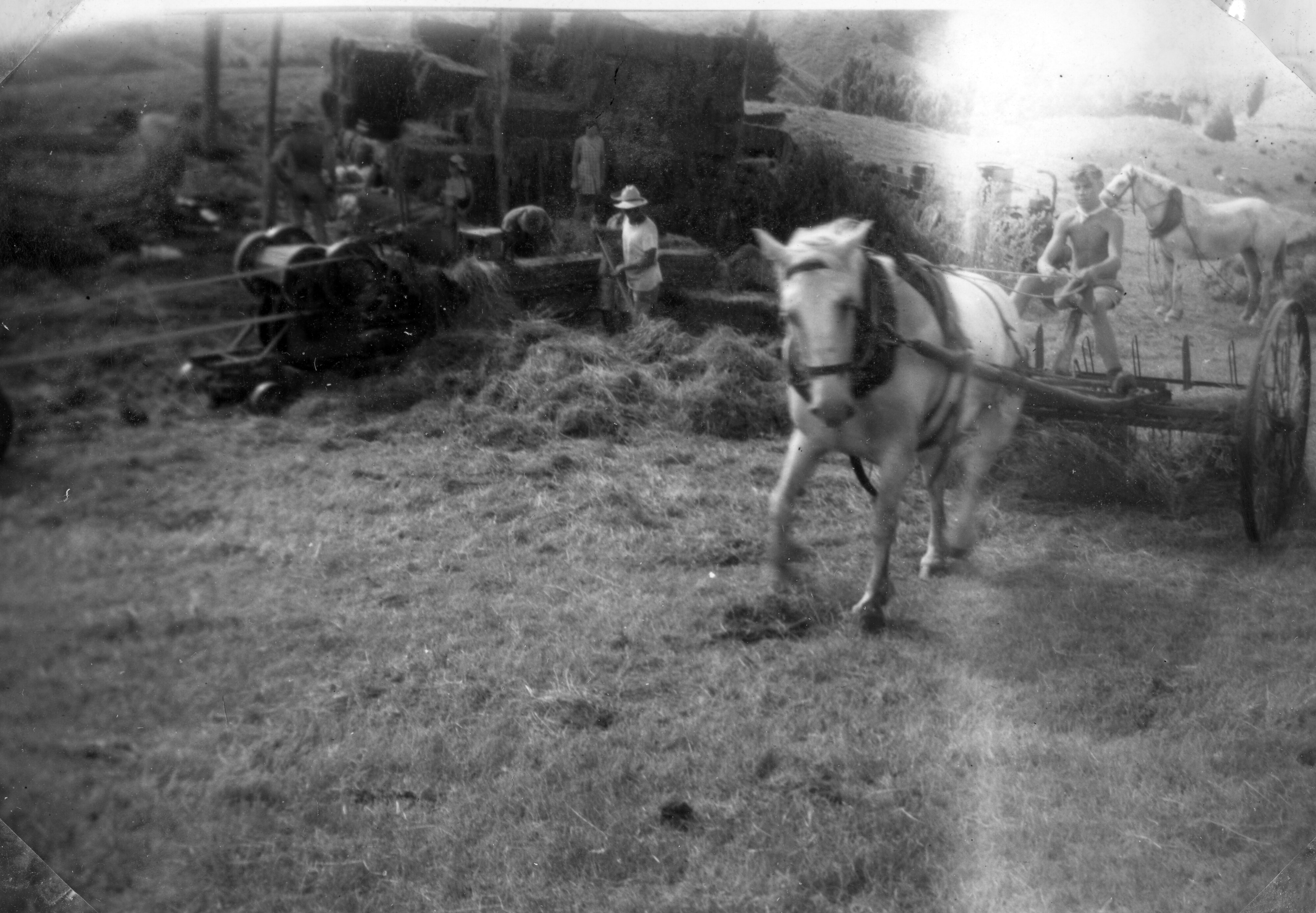 RFC Martin Biss Photo 047