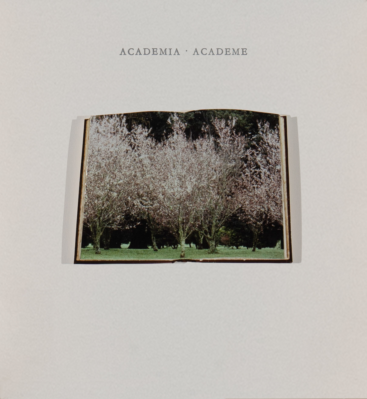 Academia: Academe