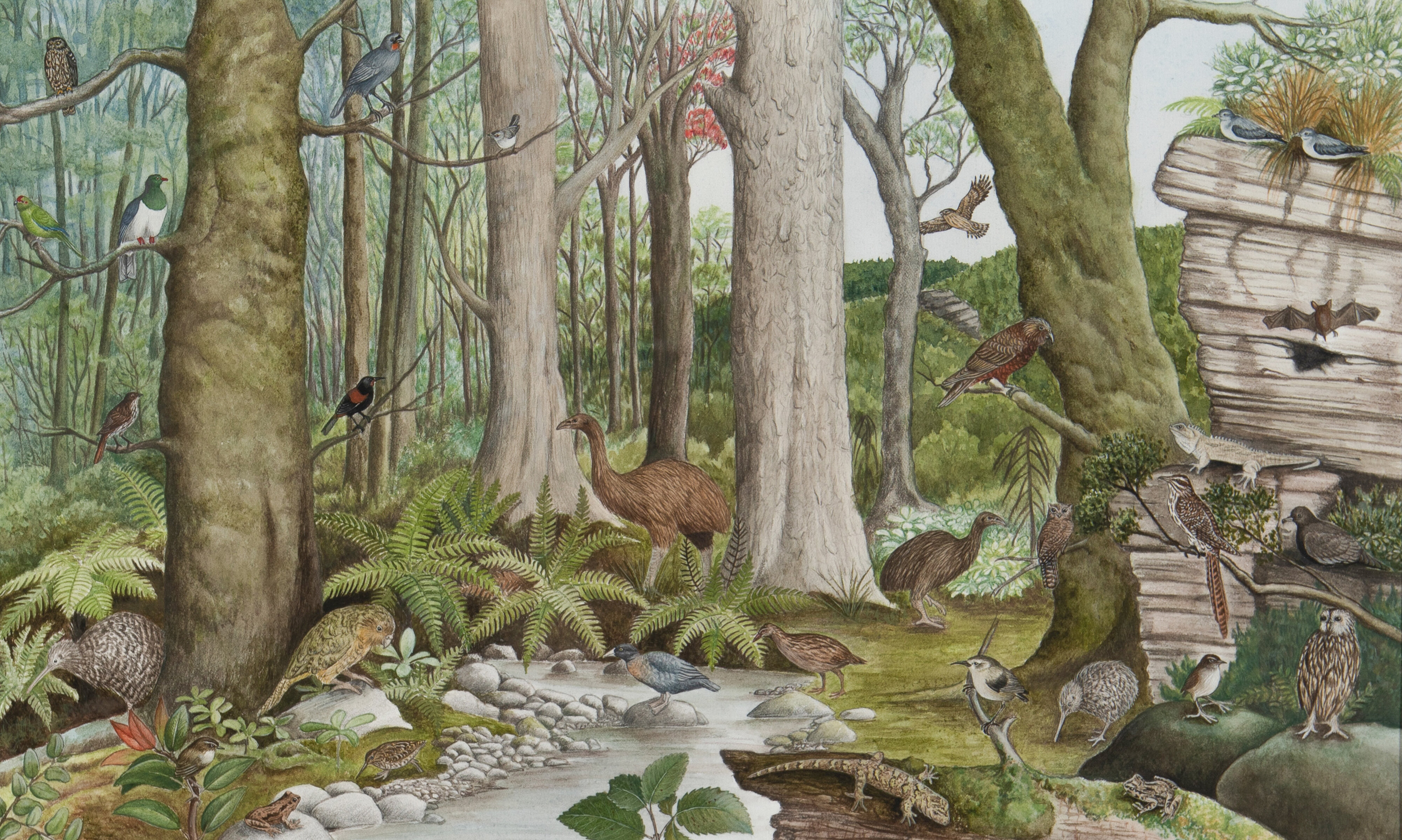 The Oparara Valley, Karamea, during the Holocene 2,000-10,000 years ago