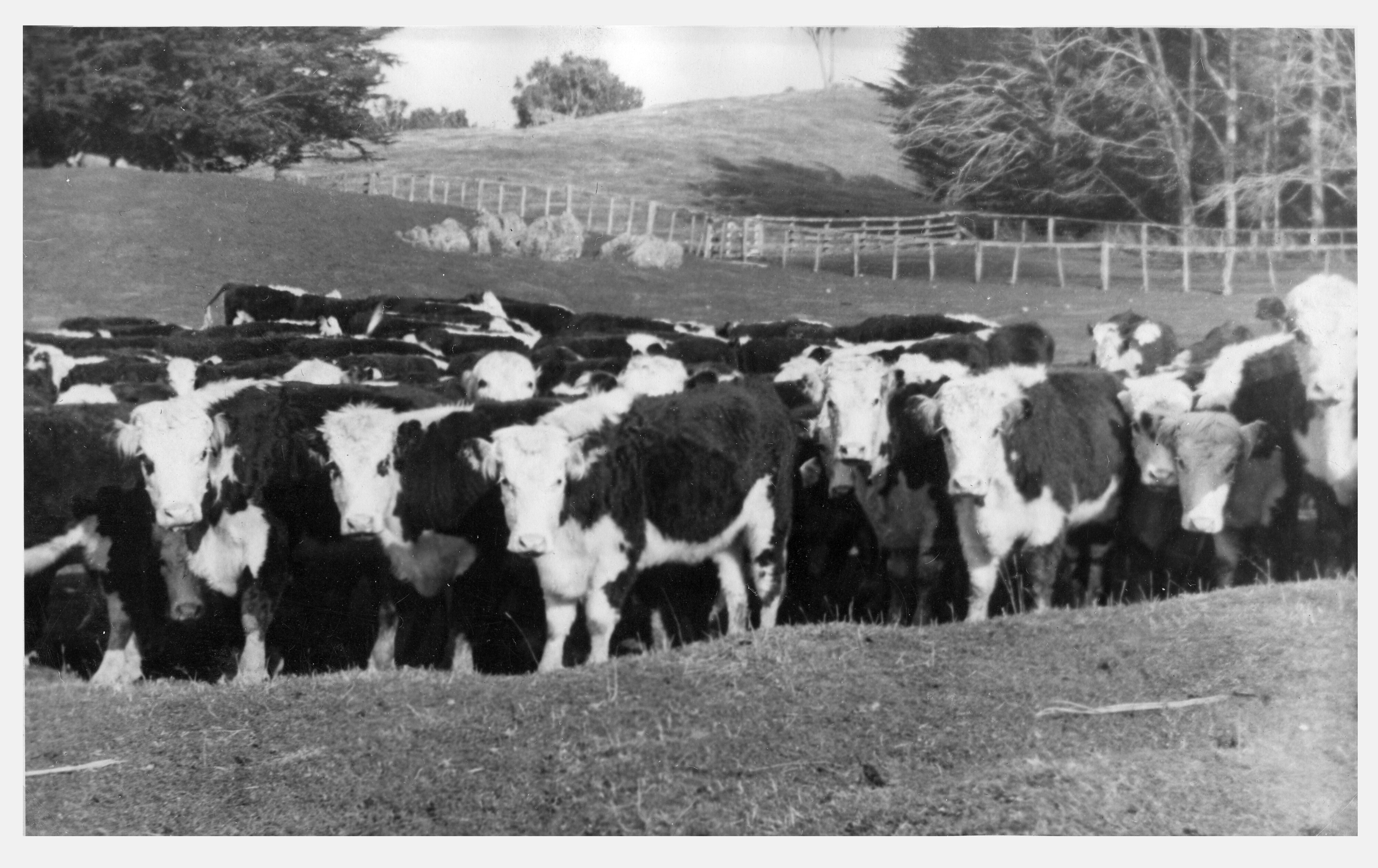 RFC Martin Biss Photo 063 