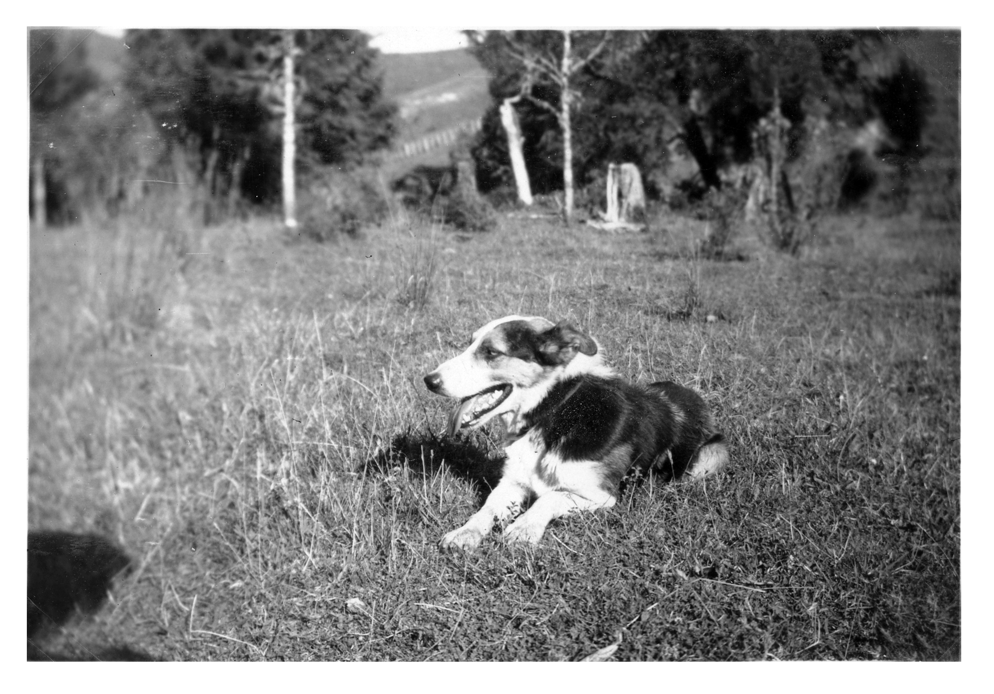 RFC Martin Biss Photo 076