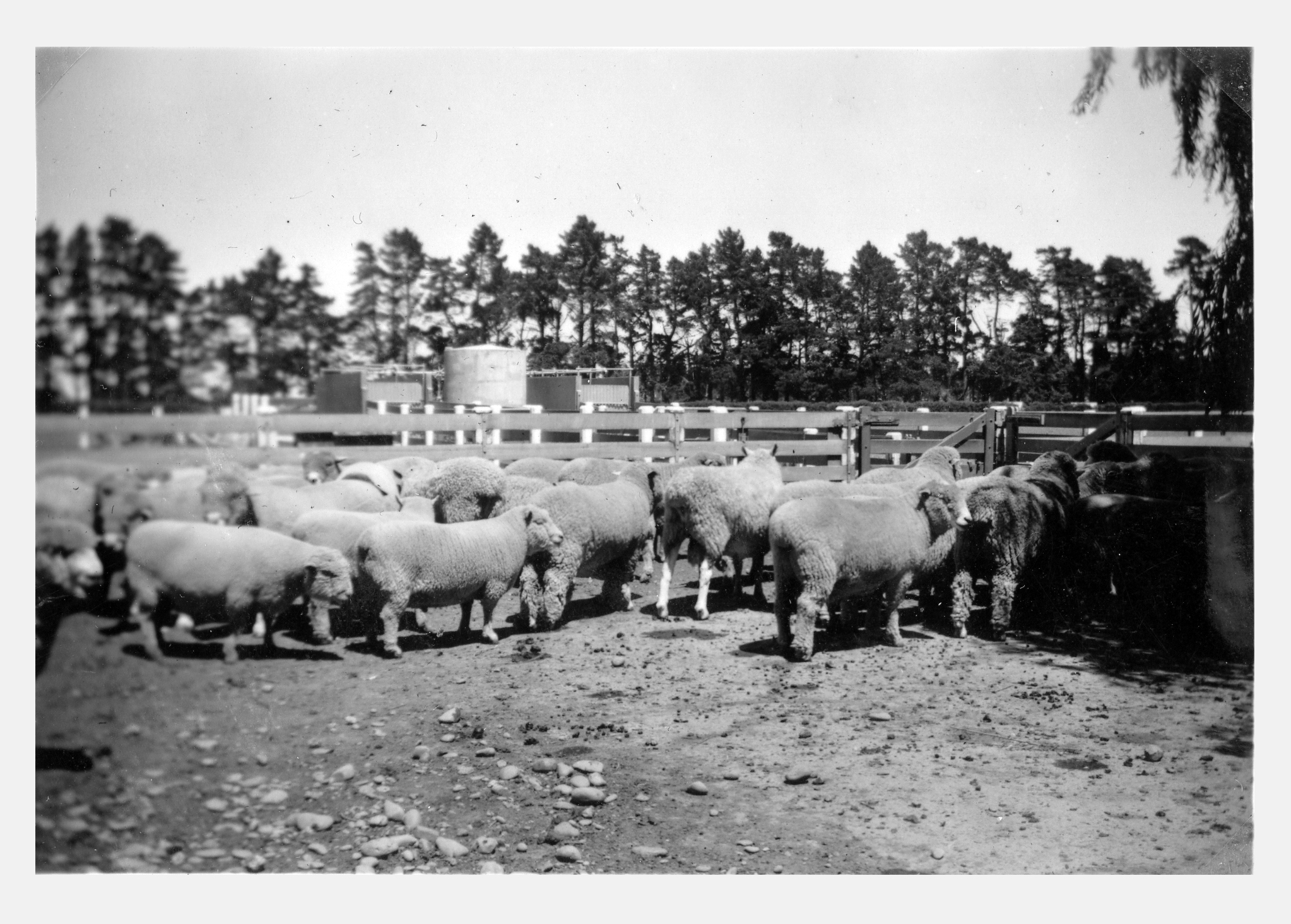 RFC Martin Biss Photo 096