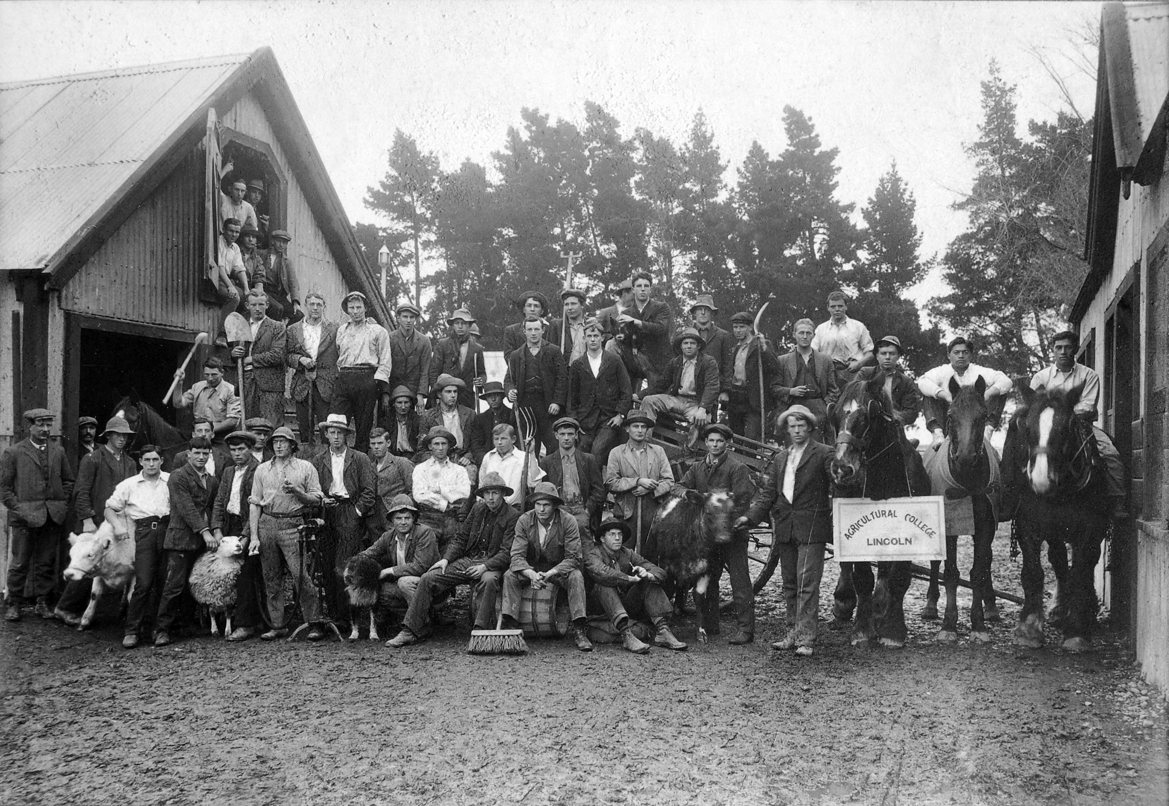 1911 Farm Group Canterbury Agricultural College