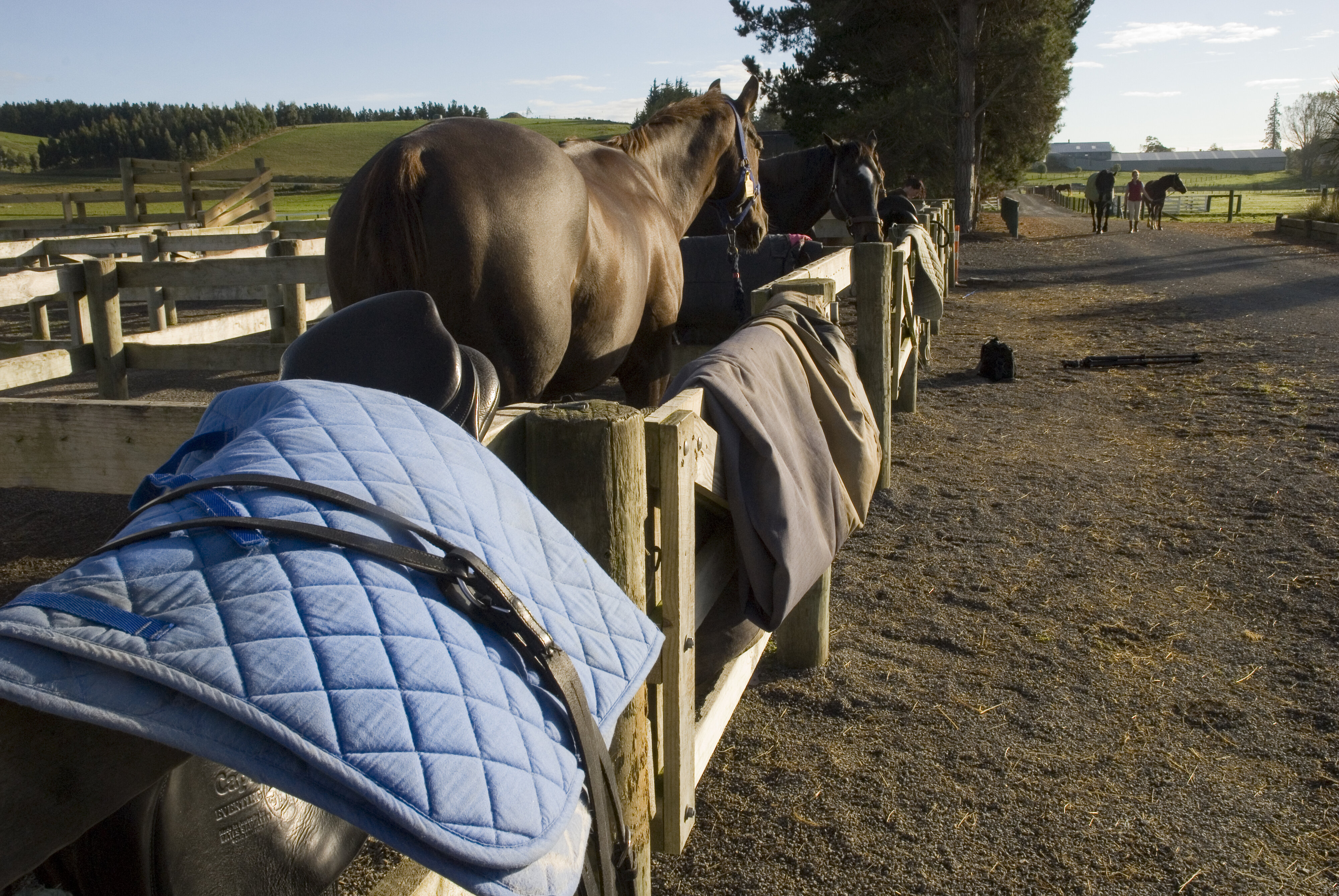 Telford Equine yard
