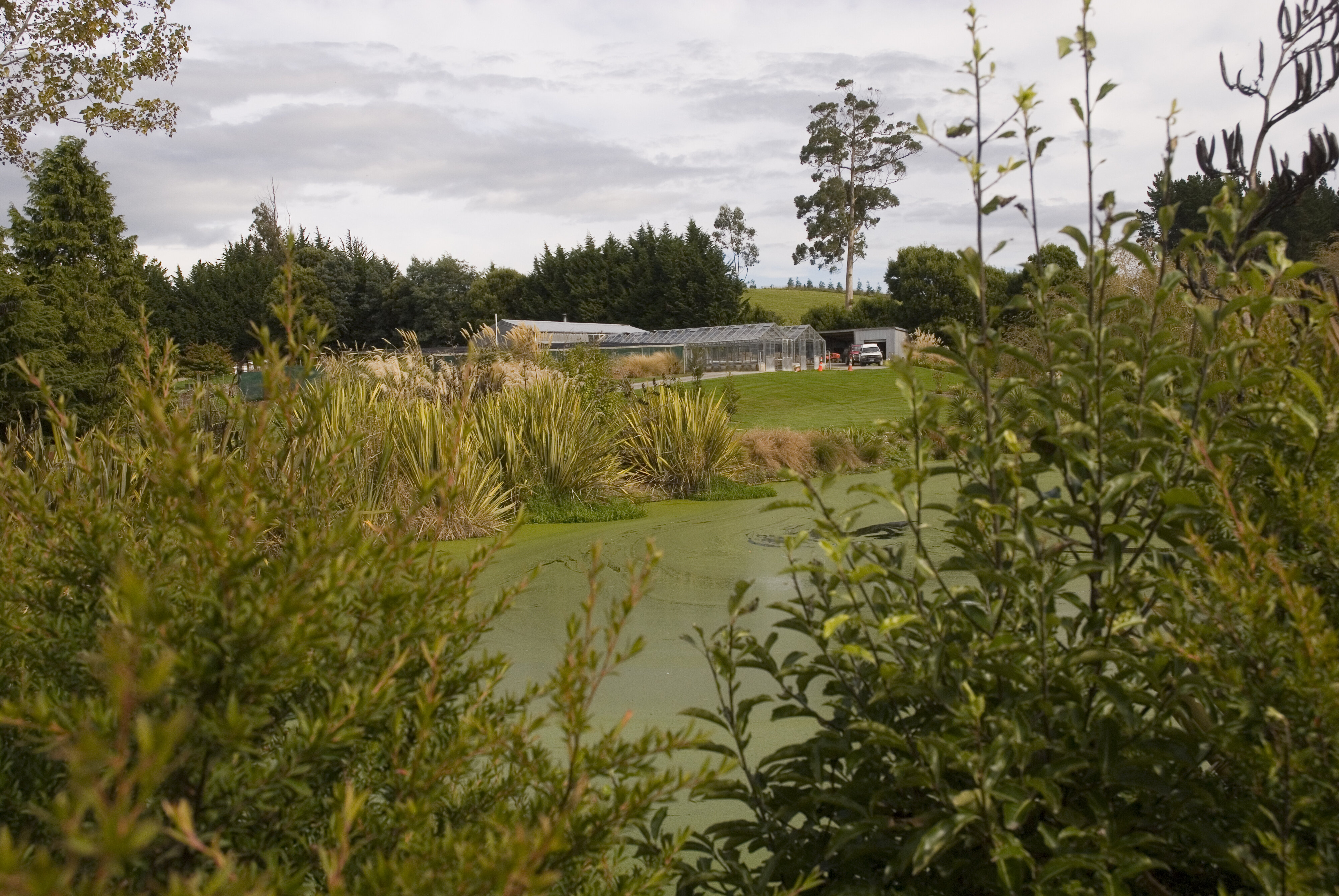 Telford view towards glasshouses