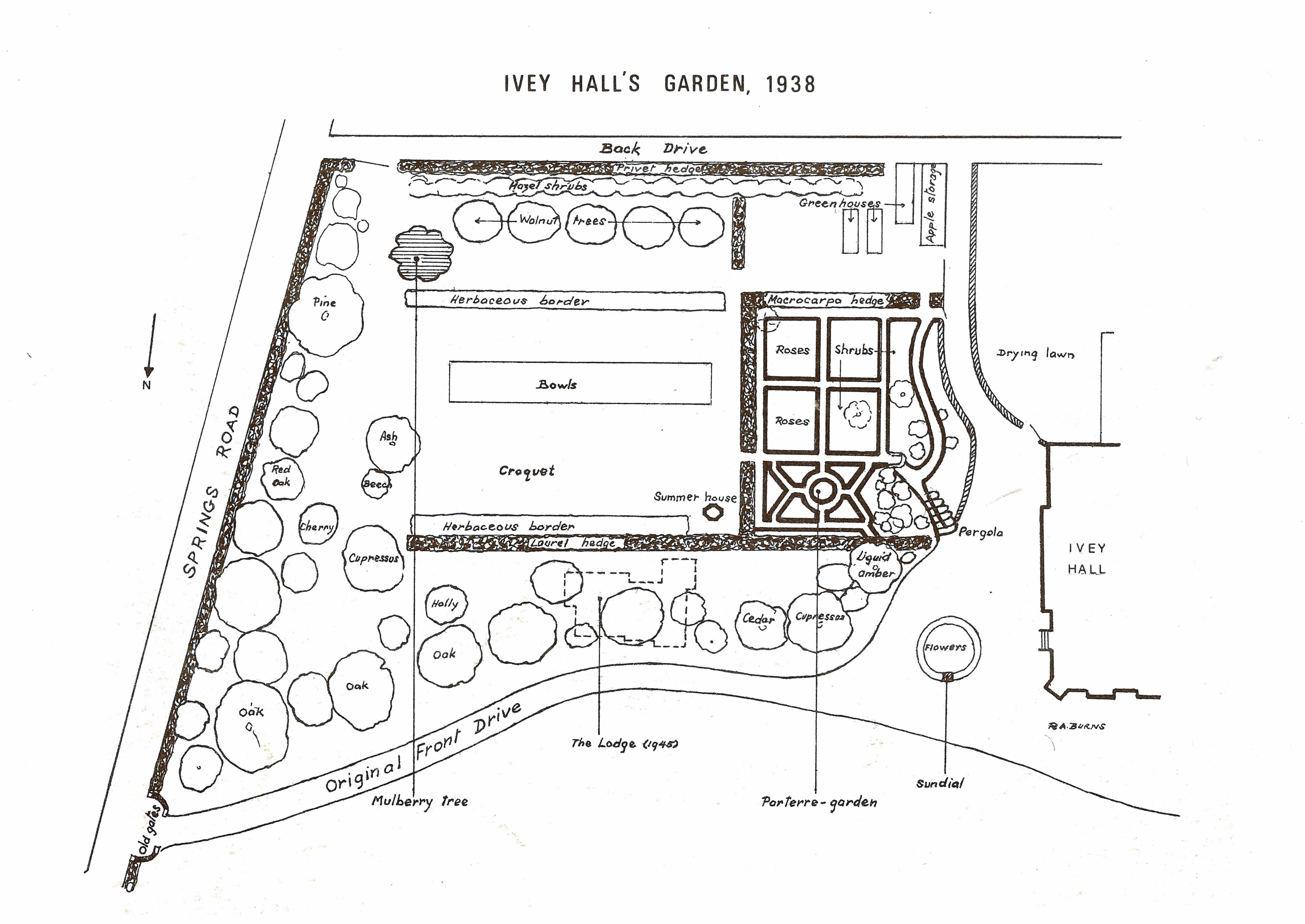 Ivey Hall's Garden 1938