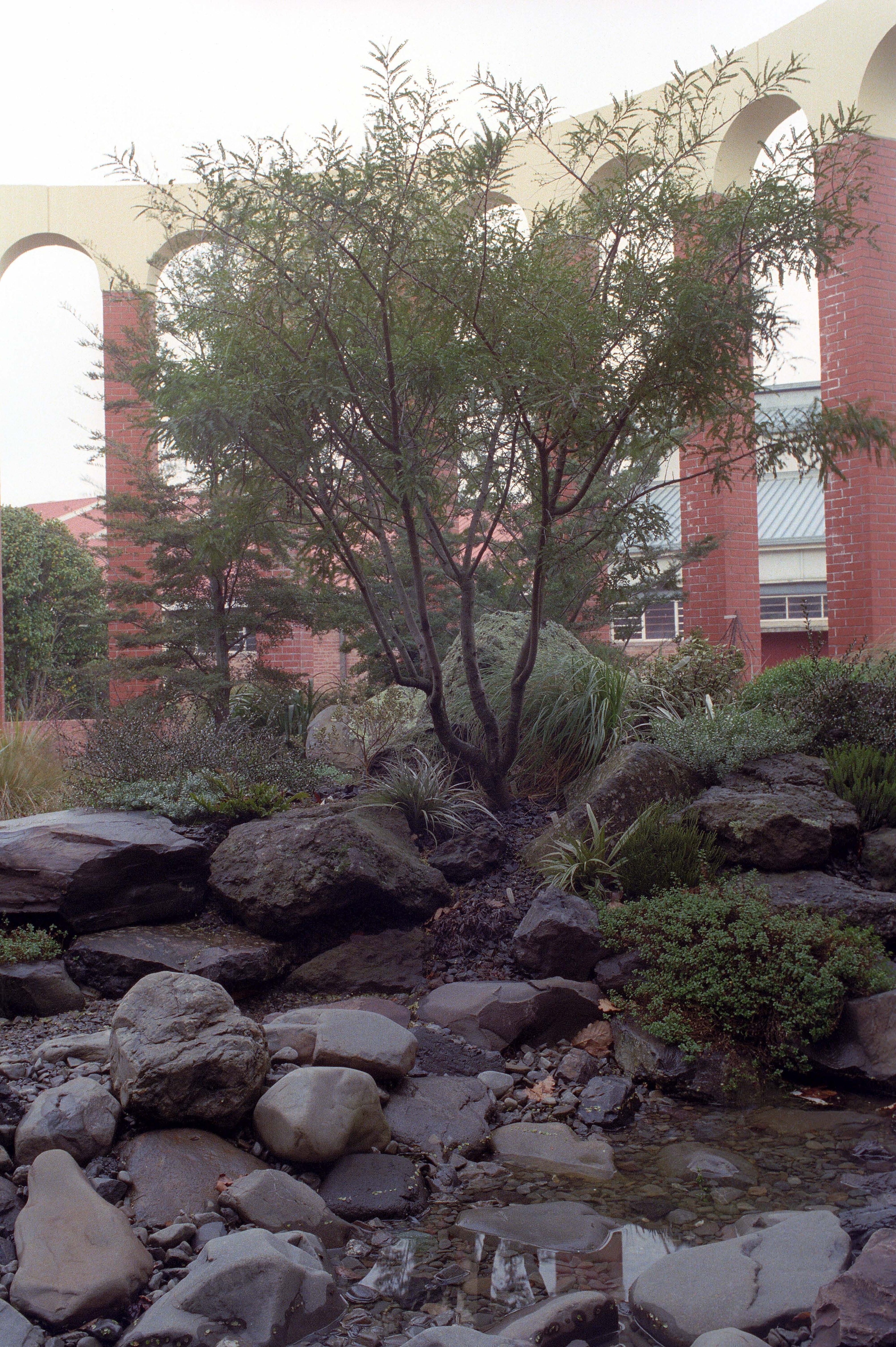 Ivey Hall Library Redevelopment 1991-1992 018