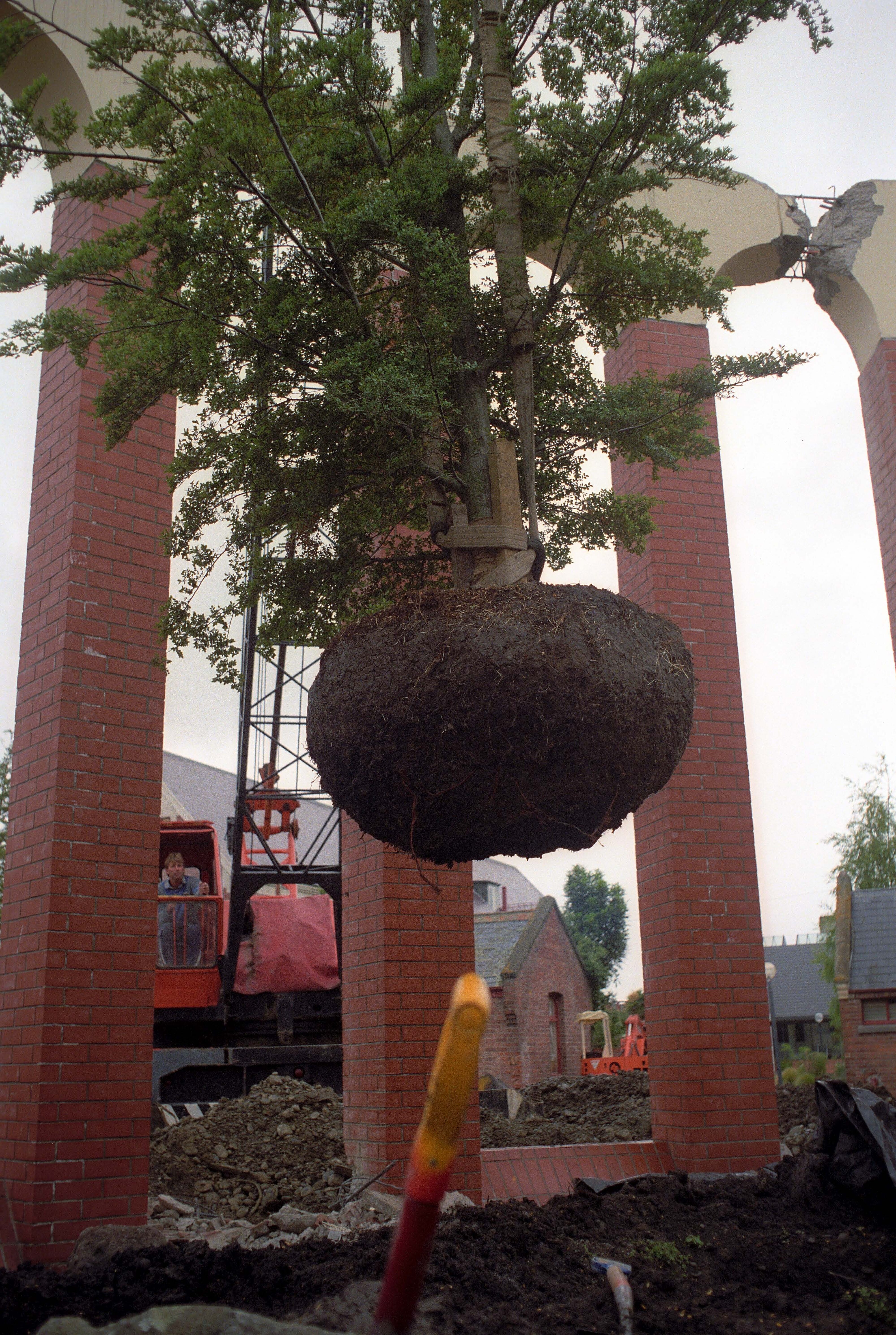 Ivey Hall Library Redevelopment 1991-1992 013
