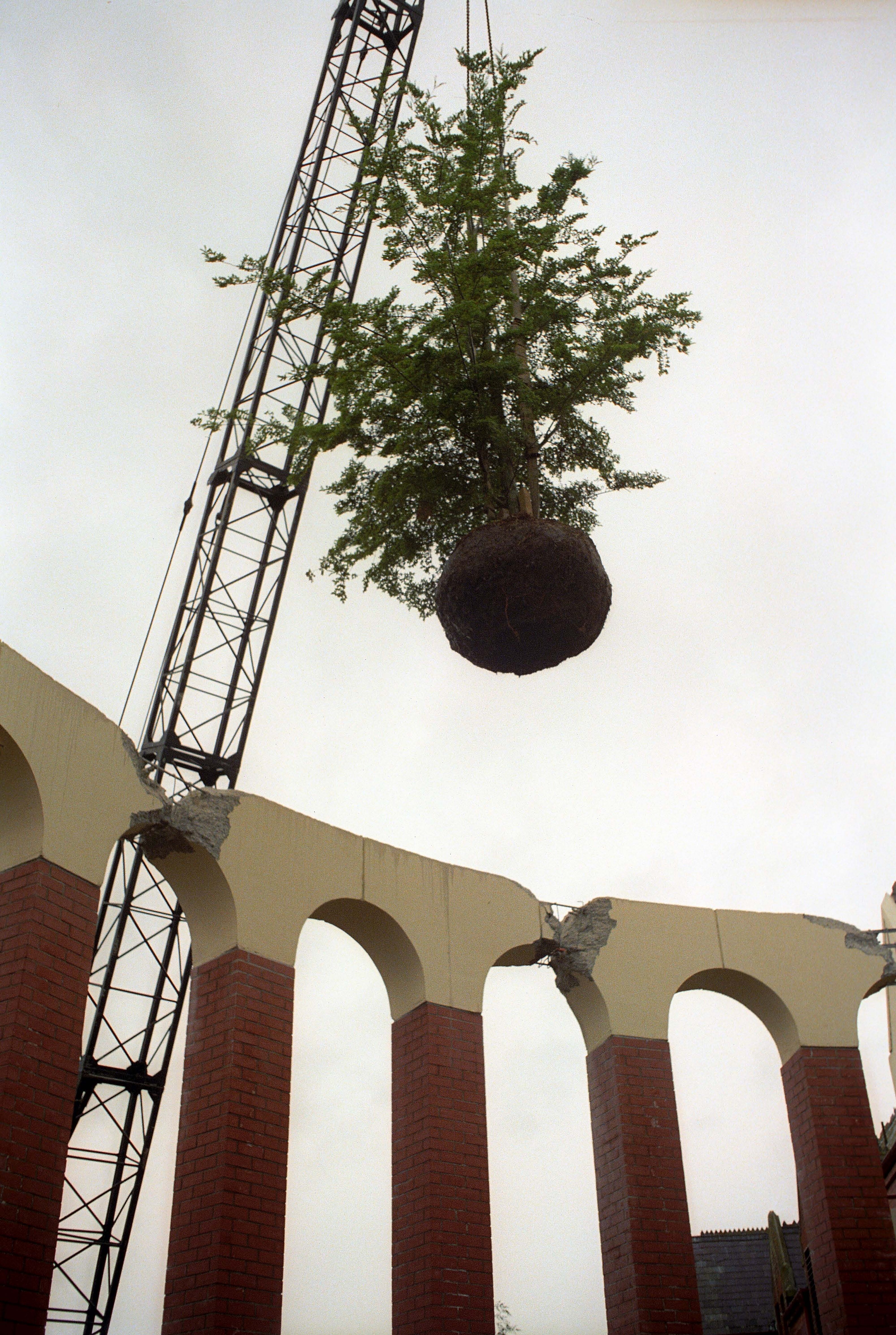 Ivey Hall Library Redevelopment 1991-1992 012