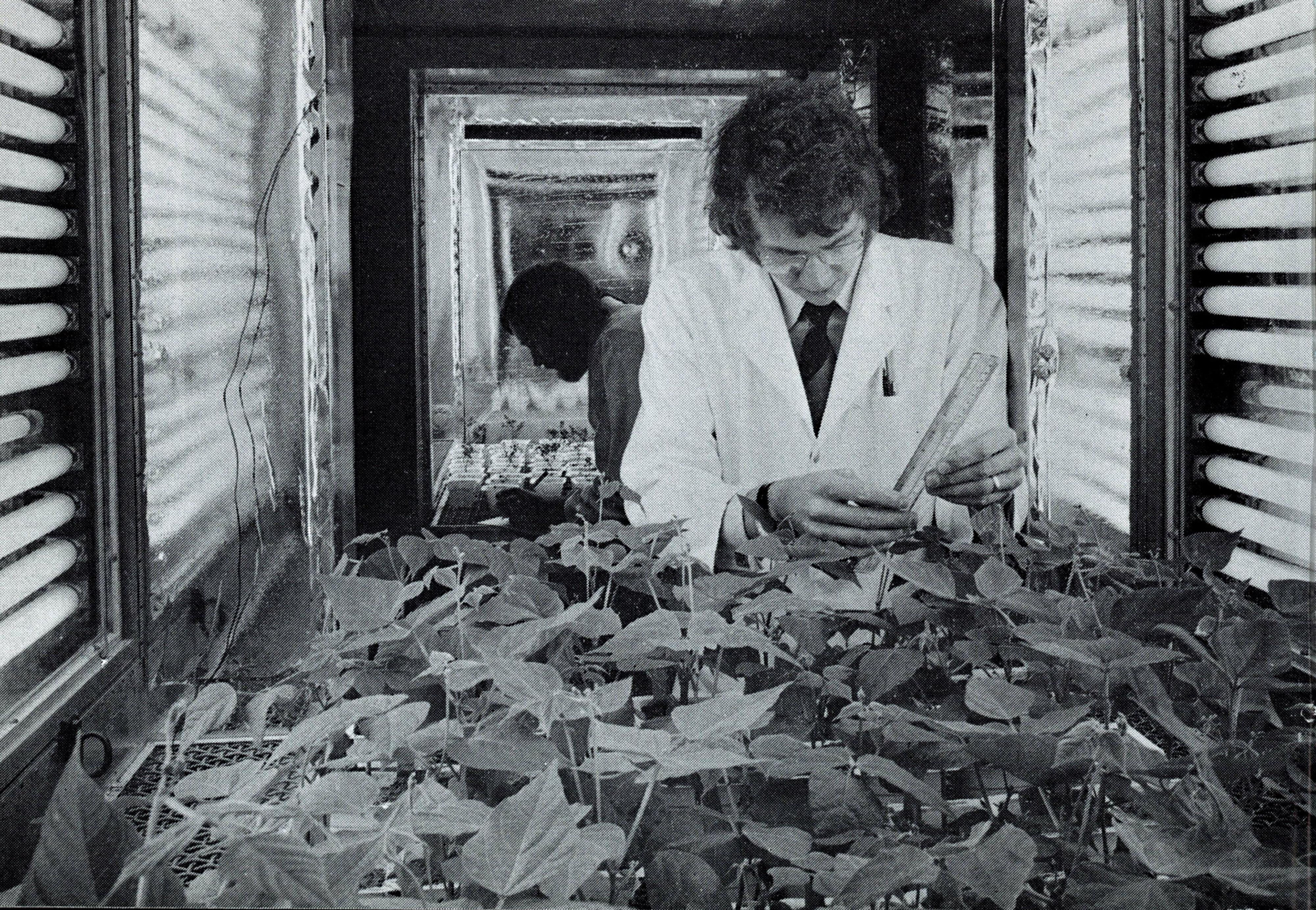 1977 Sophistication of research 2