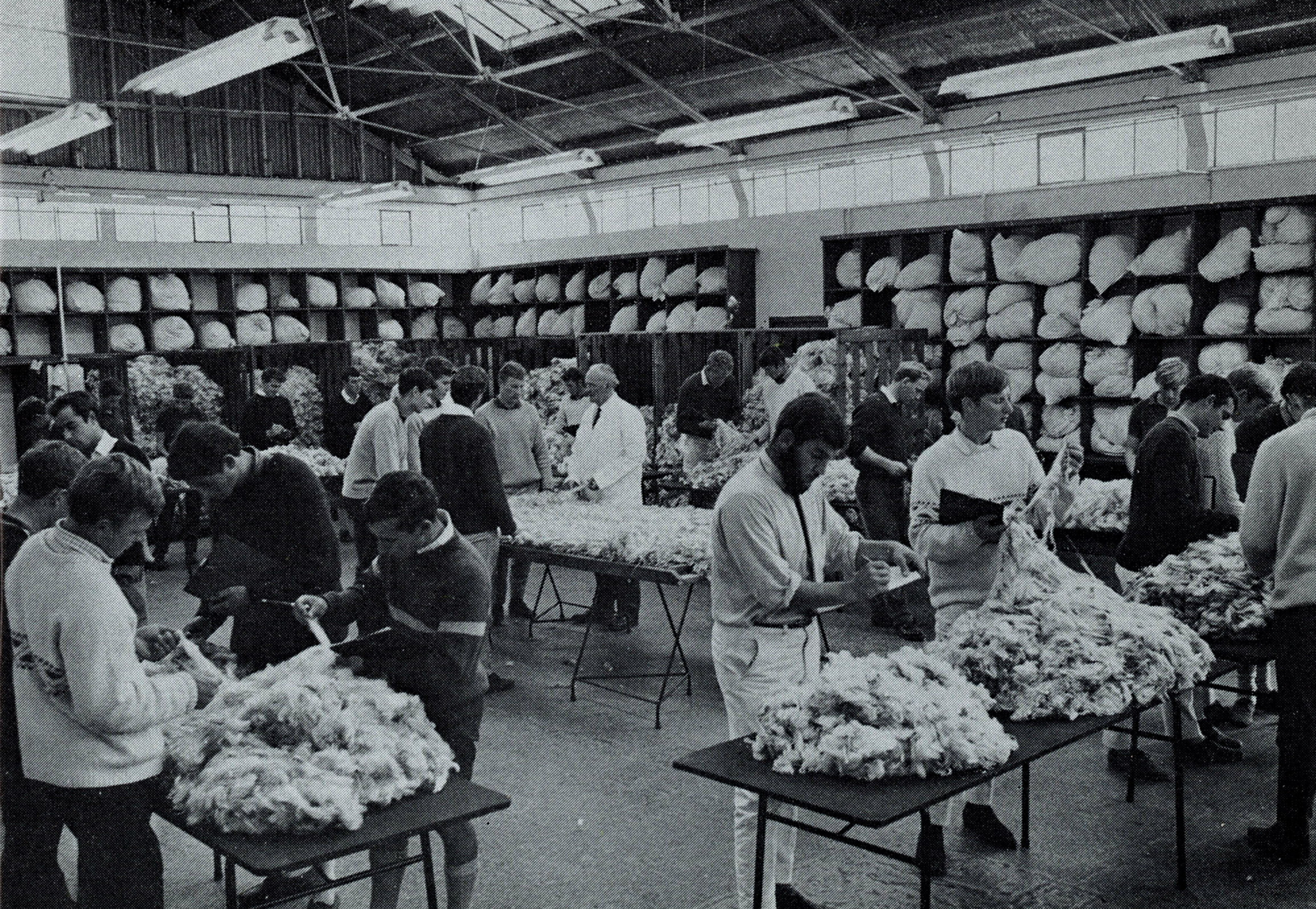 1978 Wool course group with J C Simpson