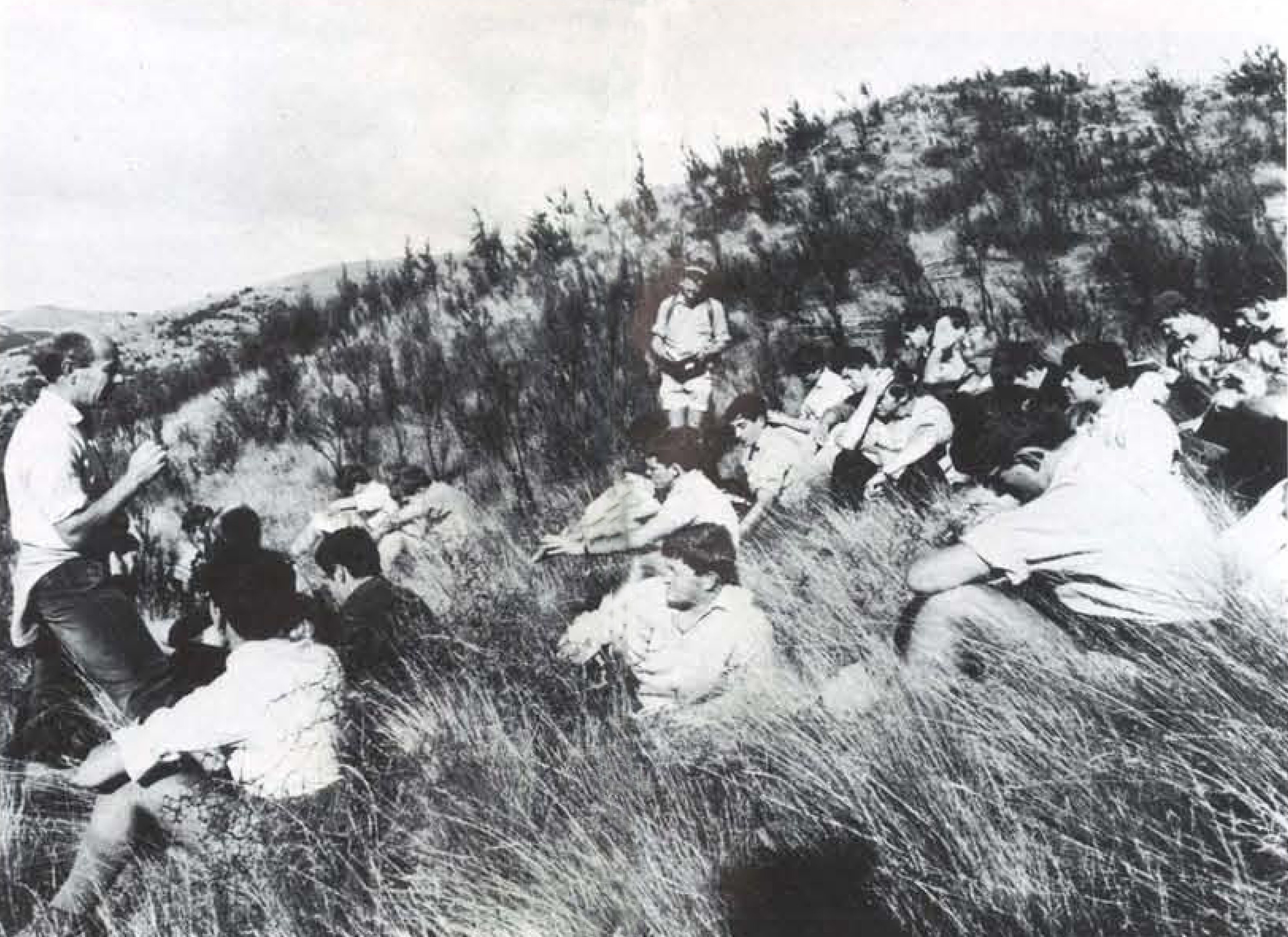 1969 Field trip - Hunua farm in North Canterbury