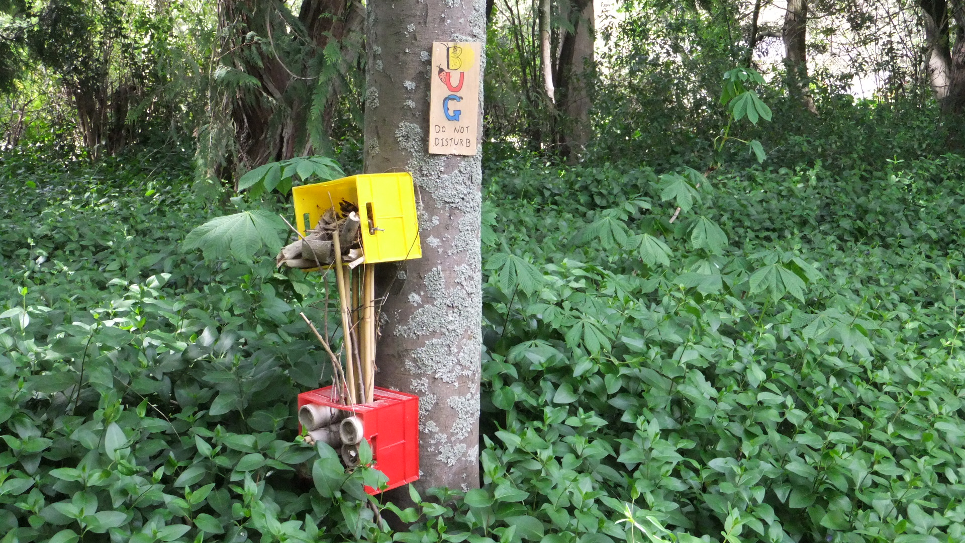 Bug Hotel