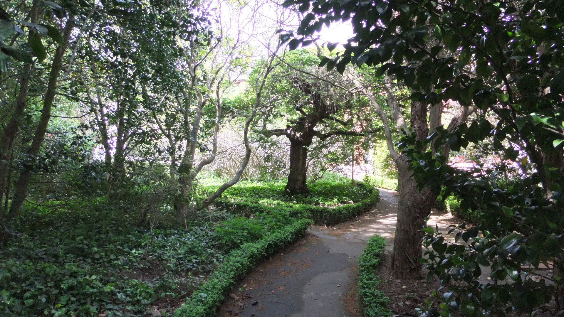 Ivey Garden 1