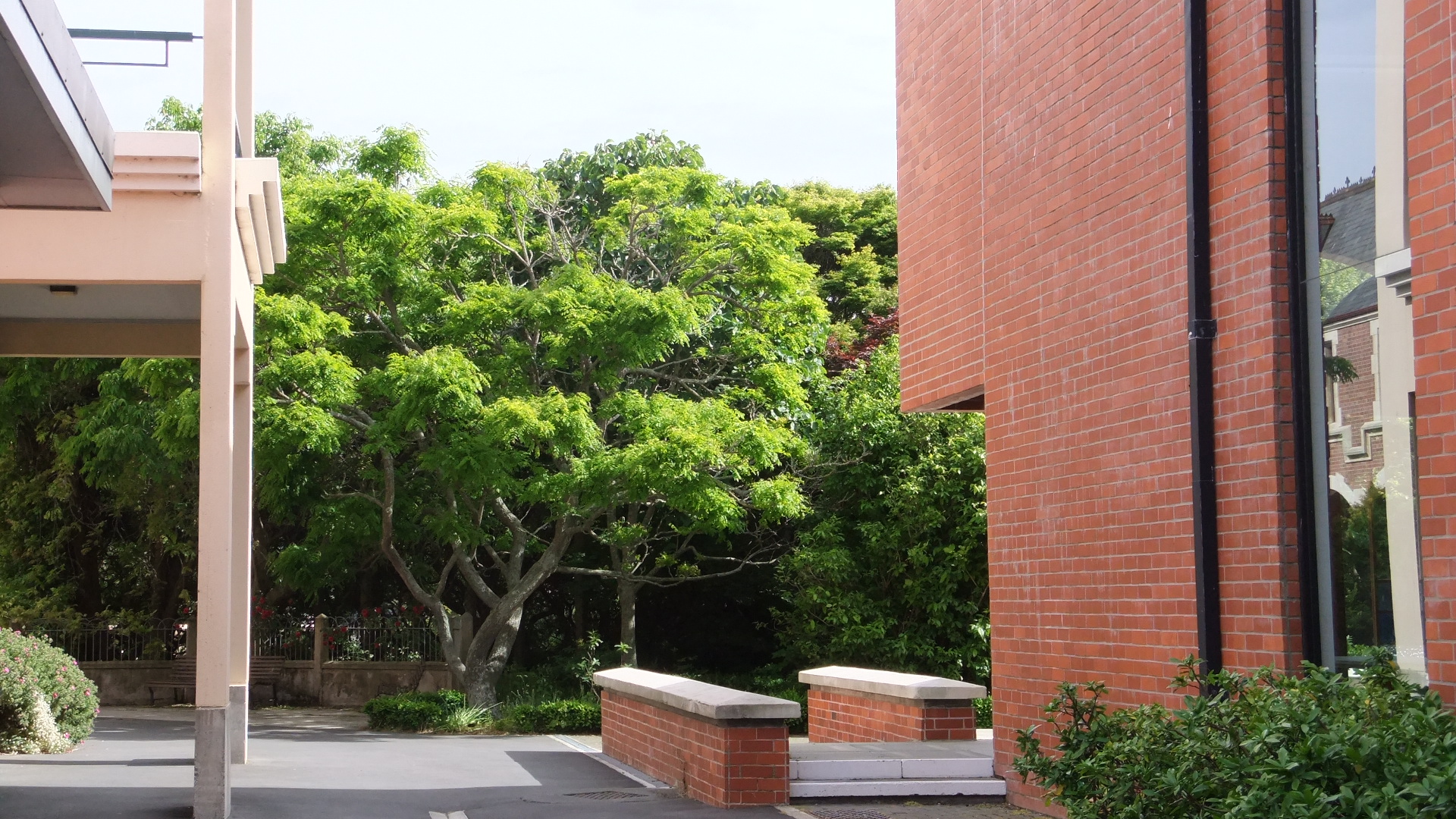 Walkway between Ivey Hall and Commerce Building