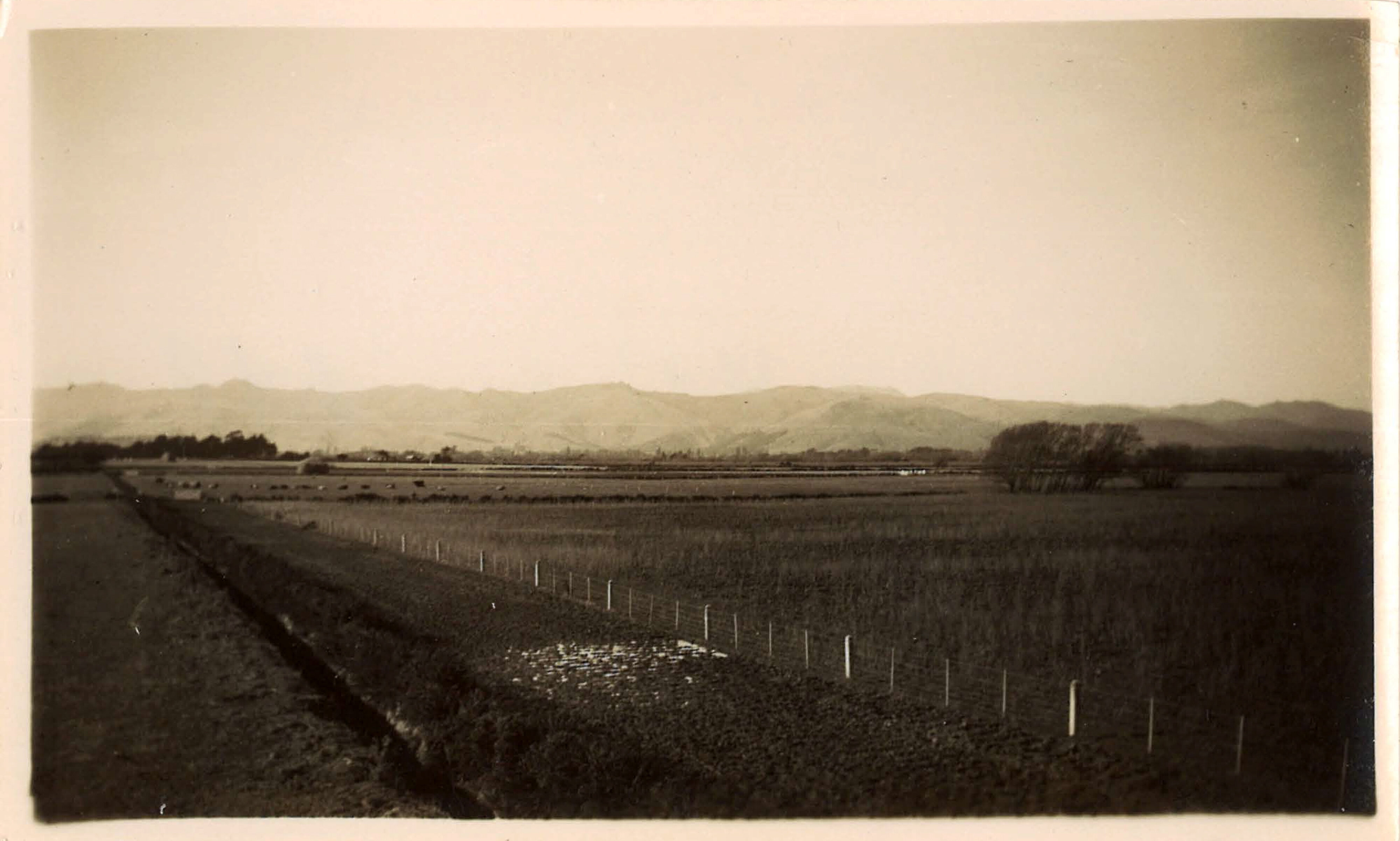 1932 Port Hills from Canterbury Agricultural College