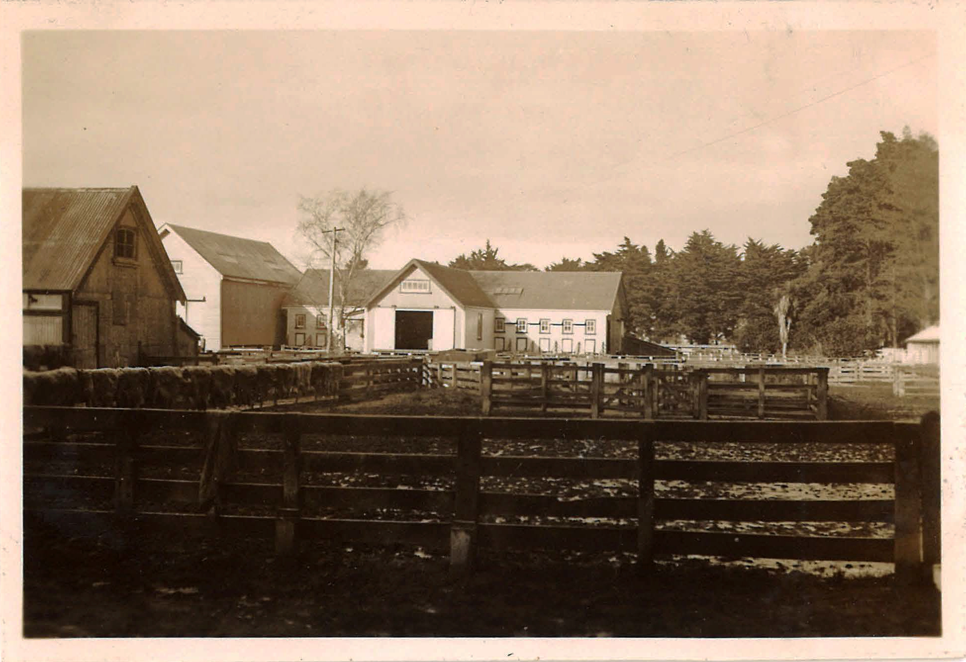 1937 Wool Shed Canterbury Agricultural College