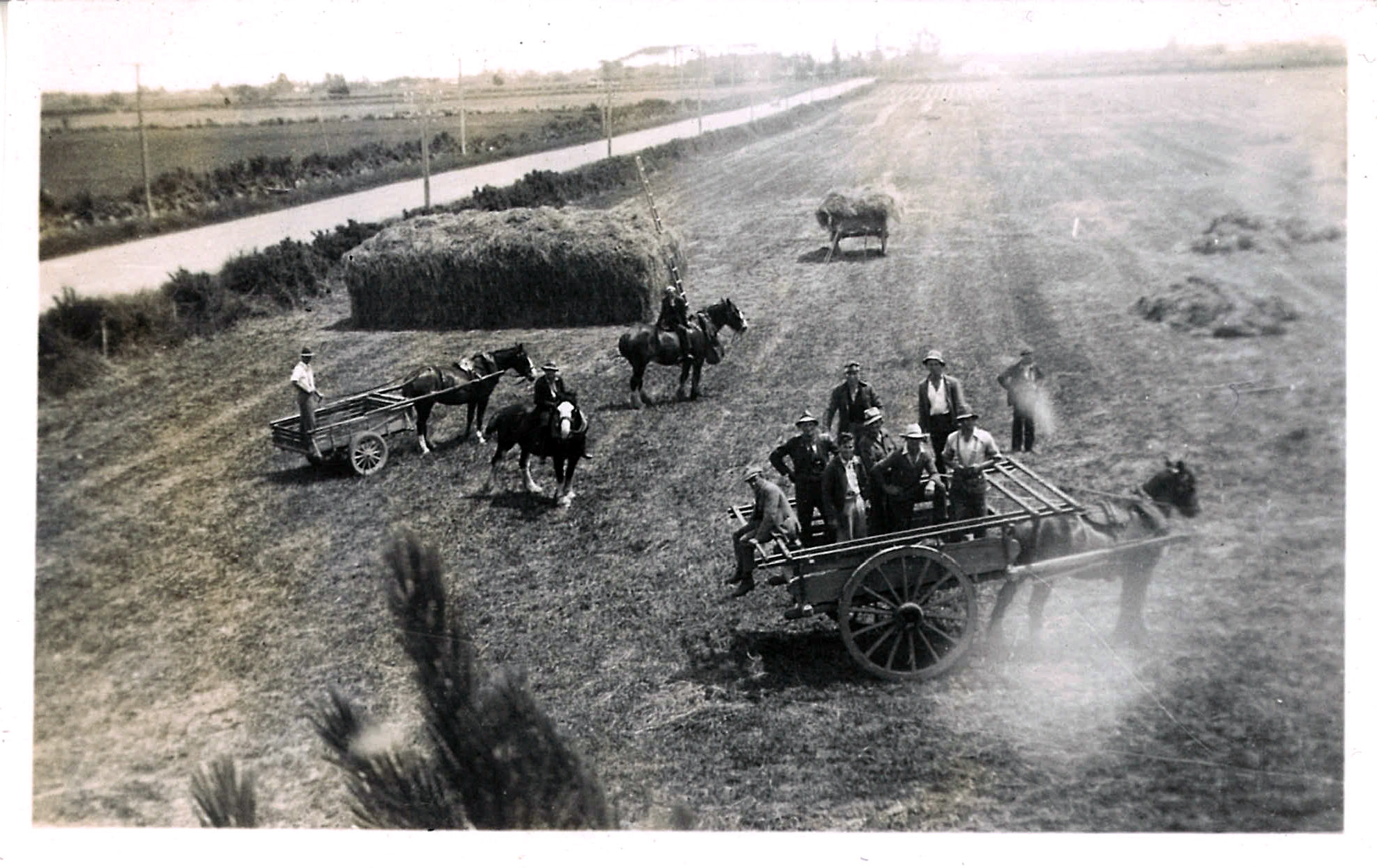 1939 Haymaking in N