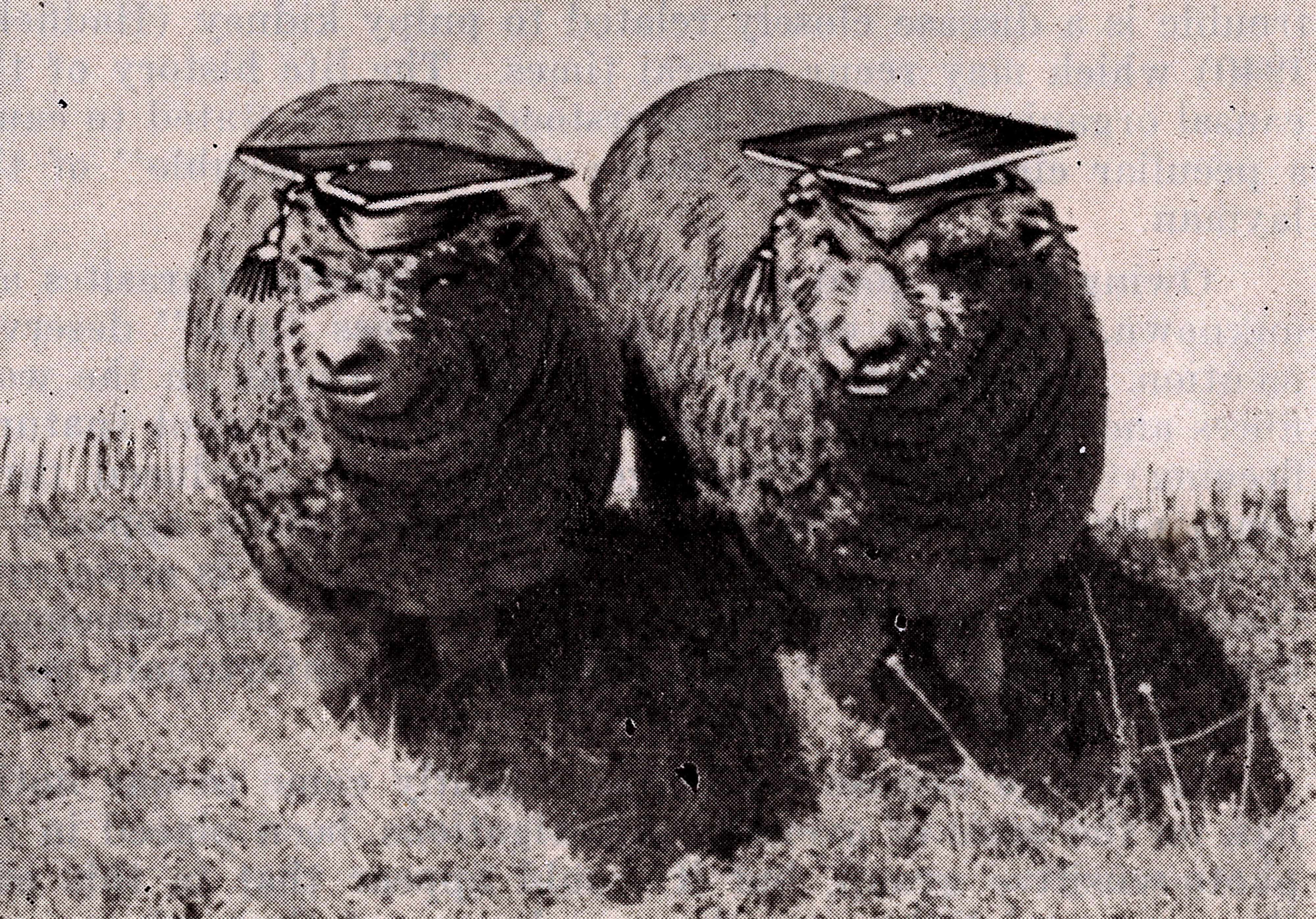 1941 "Ready for Disposal"