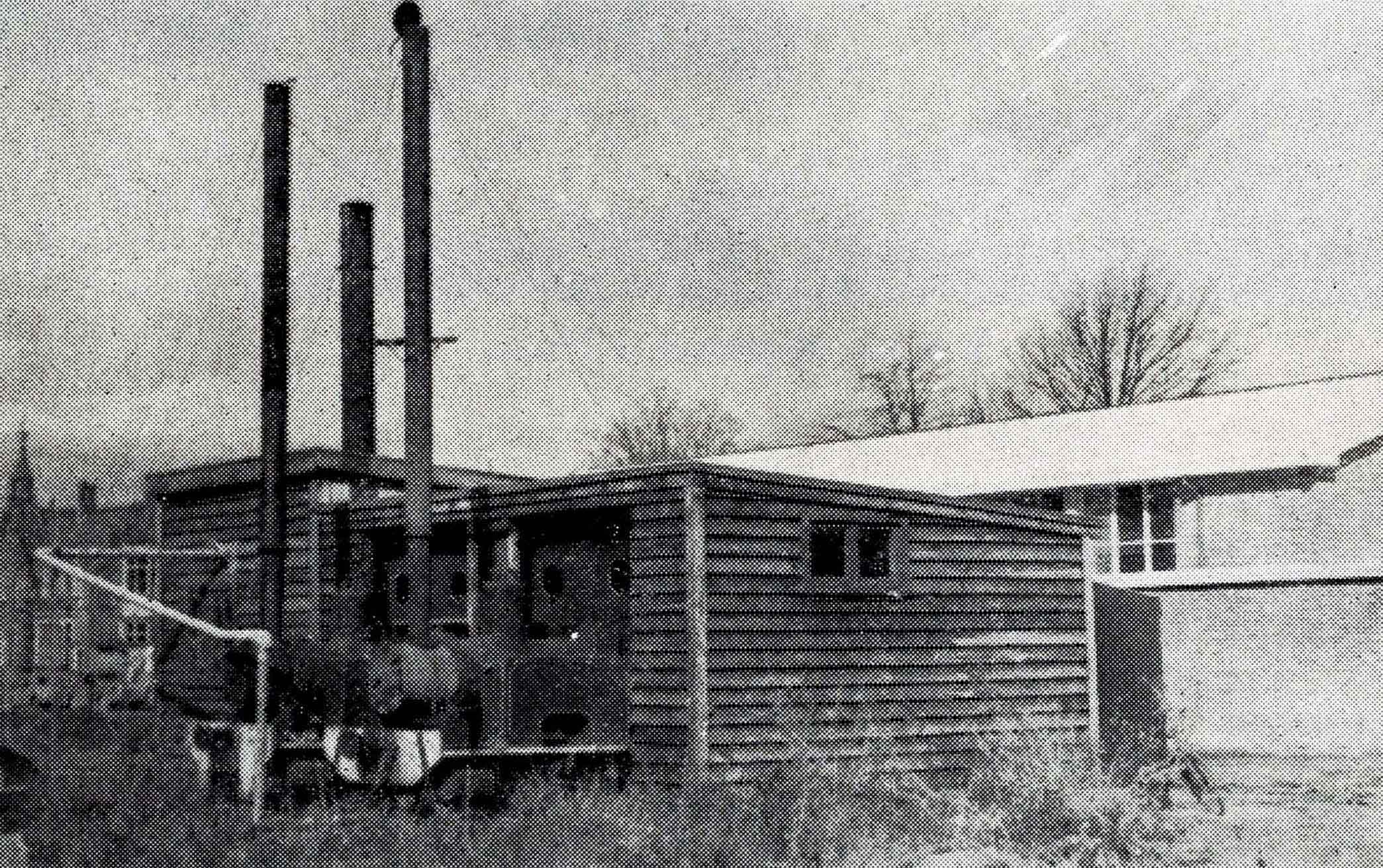 1954 Unnamed Photo 2