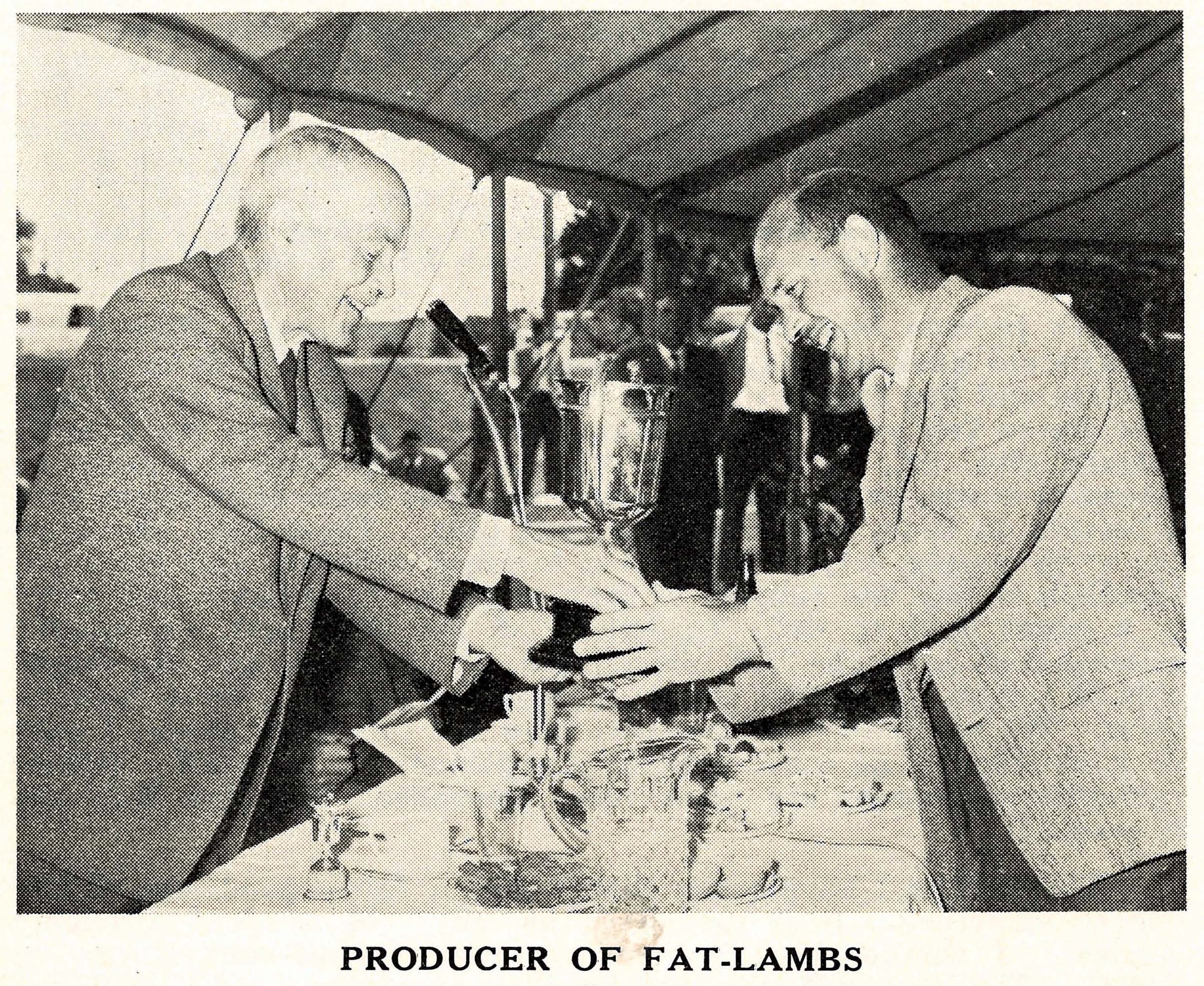 1961 Producer of Fat Lambs