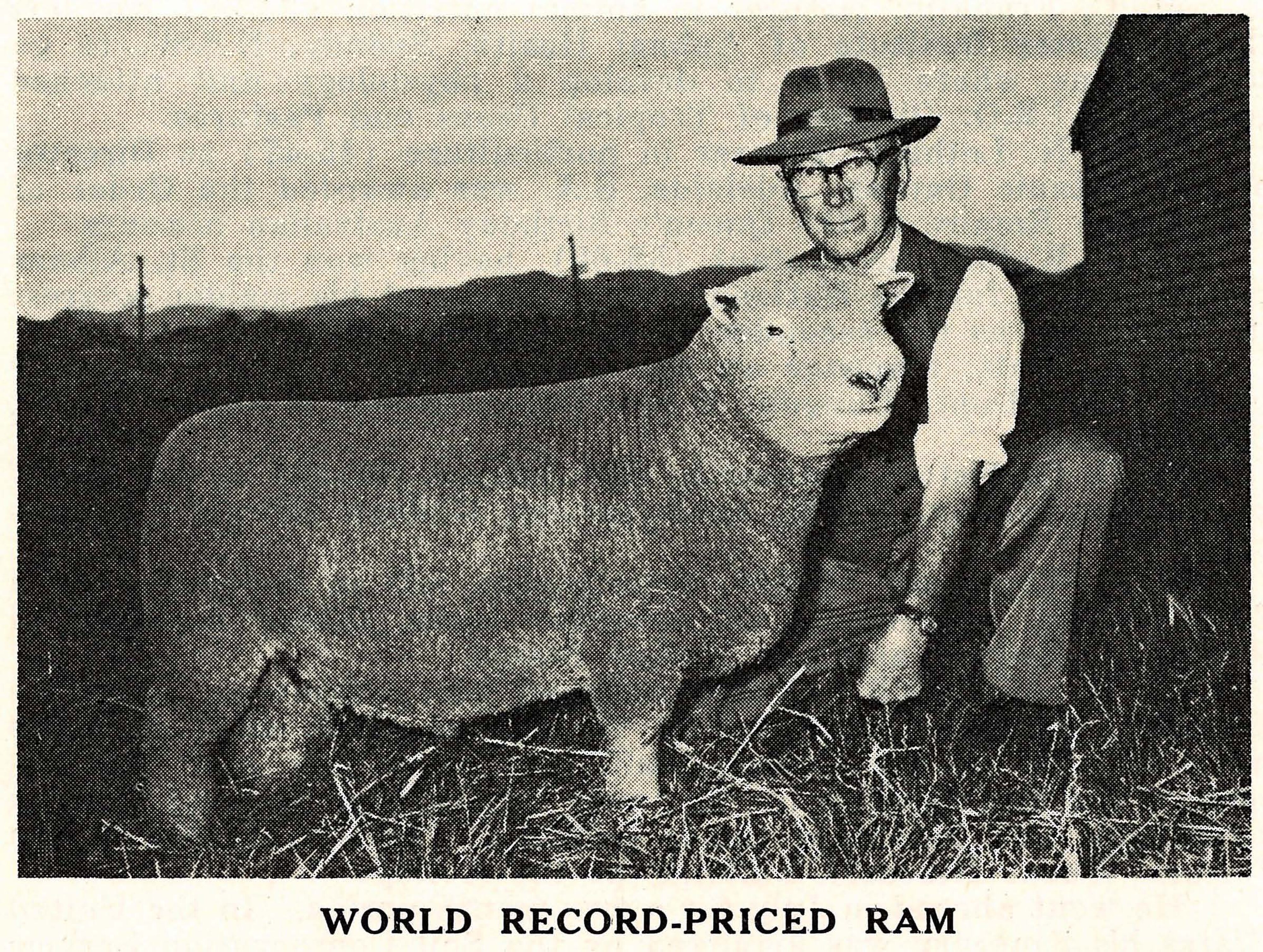 1961 World Record Priced Ram