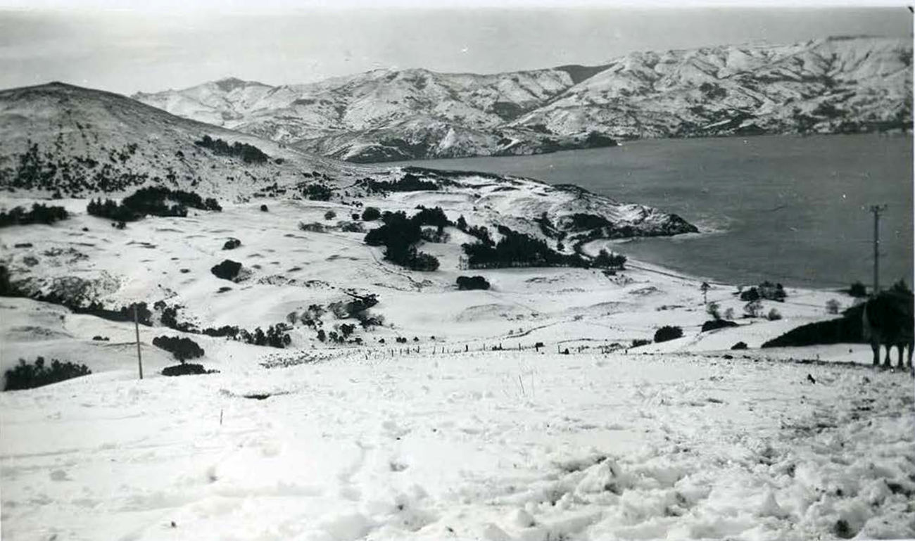 1939 Snow at Wainui
