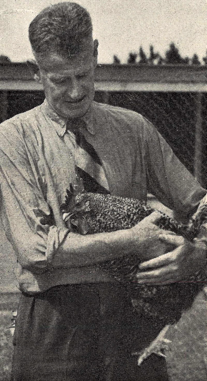 John Leslie Stark