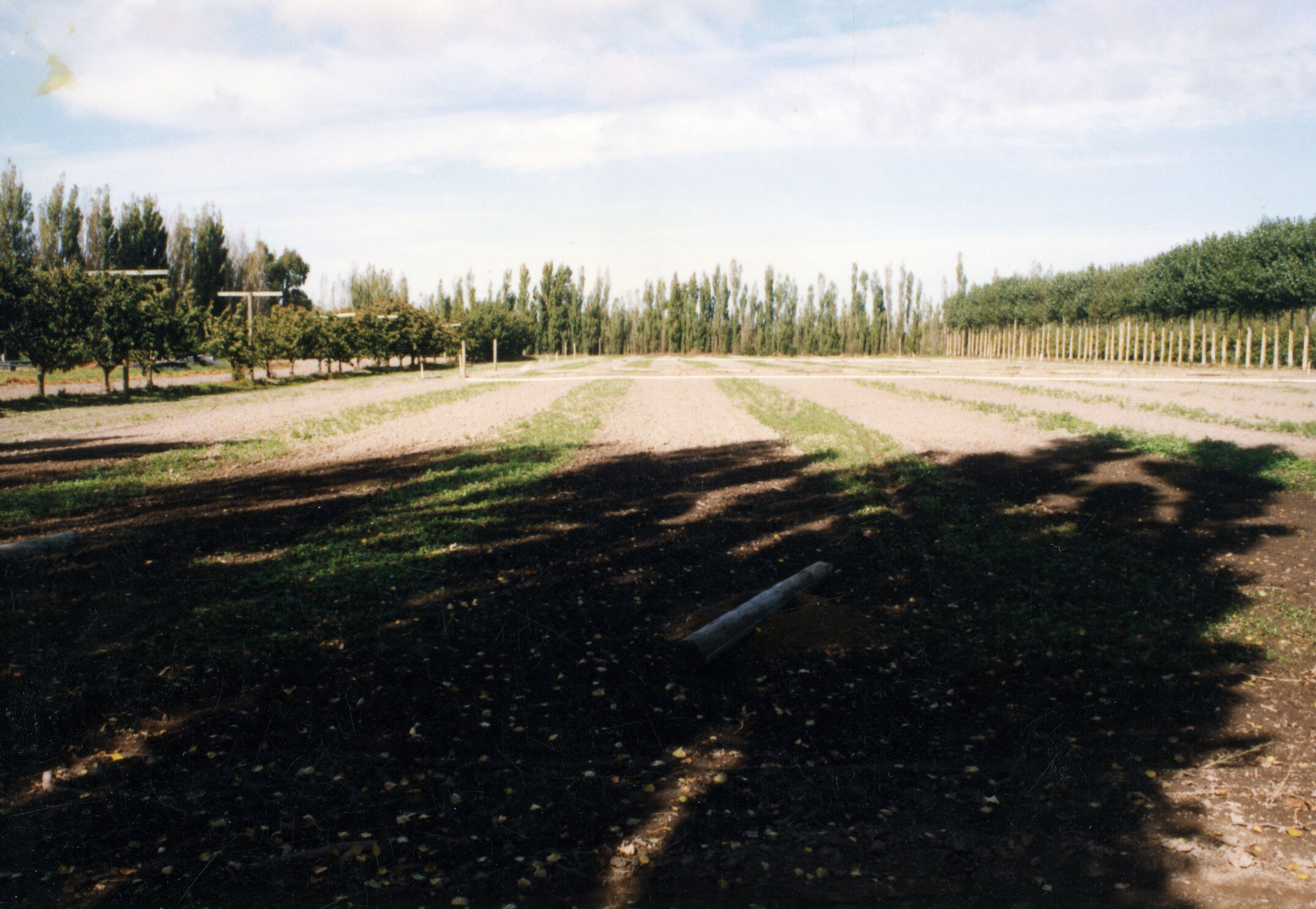 Horticulture Research Images 3 