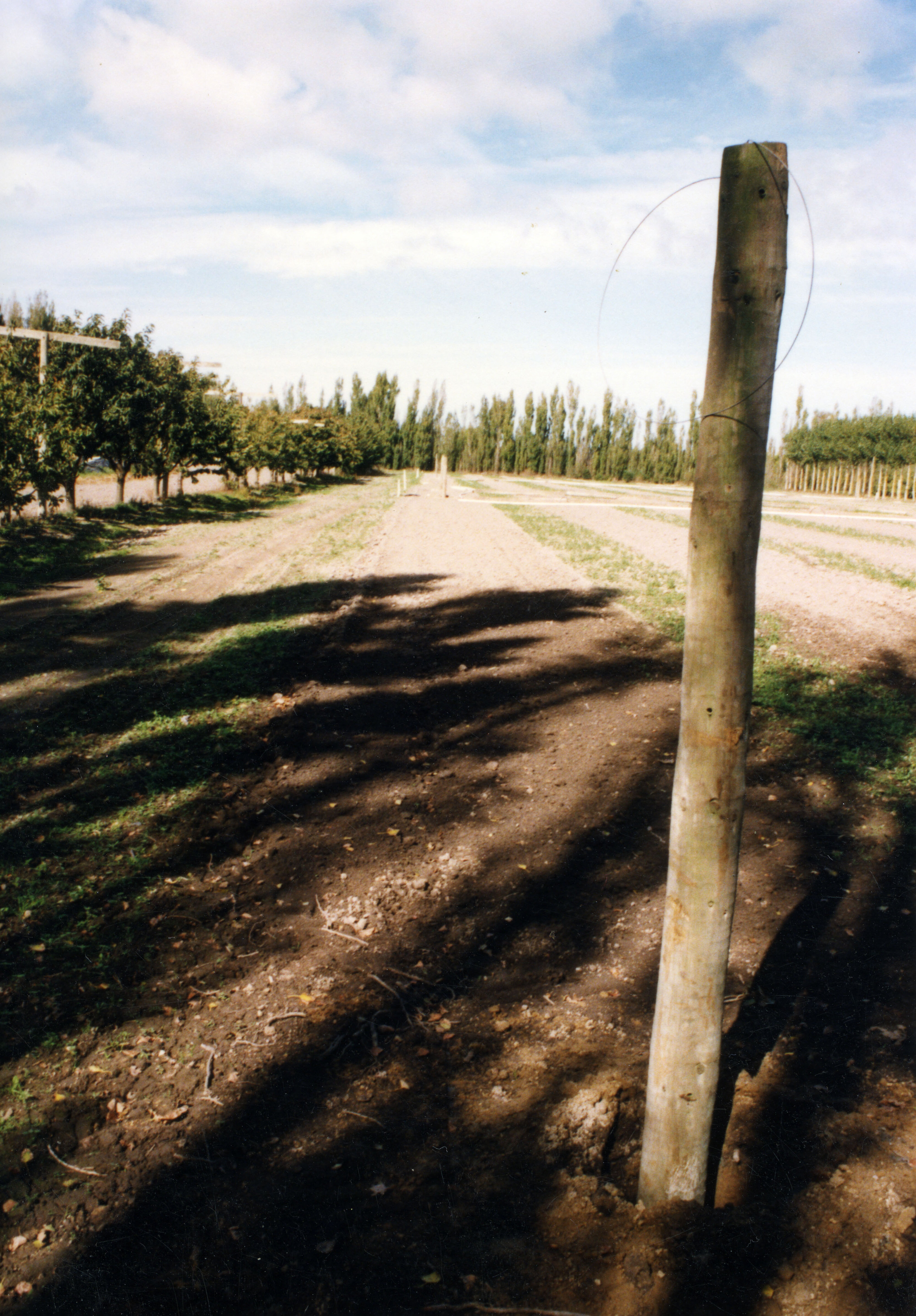 Horticulture Research Images 4