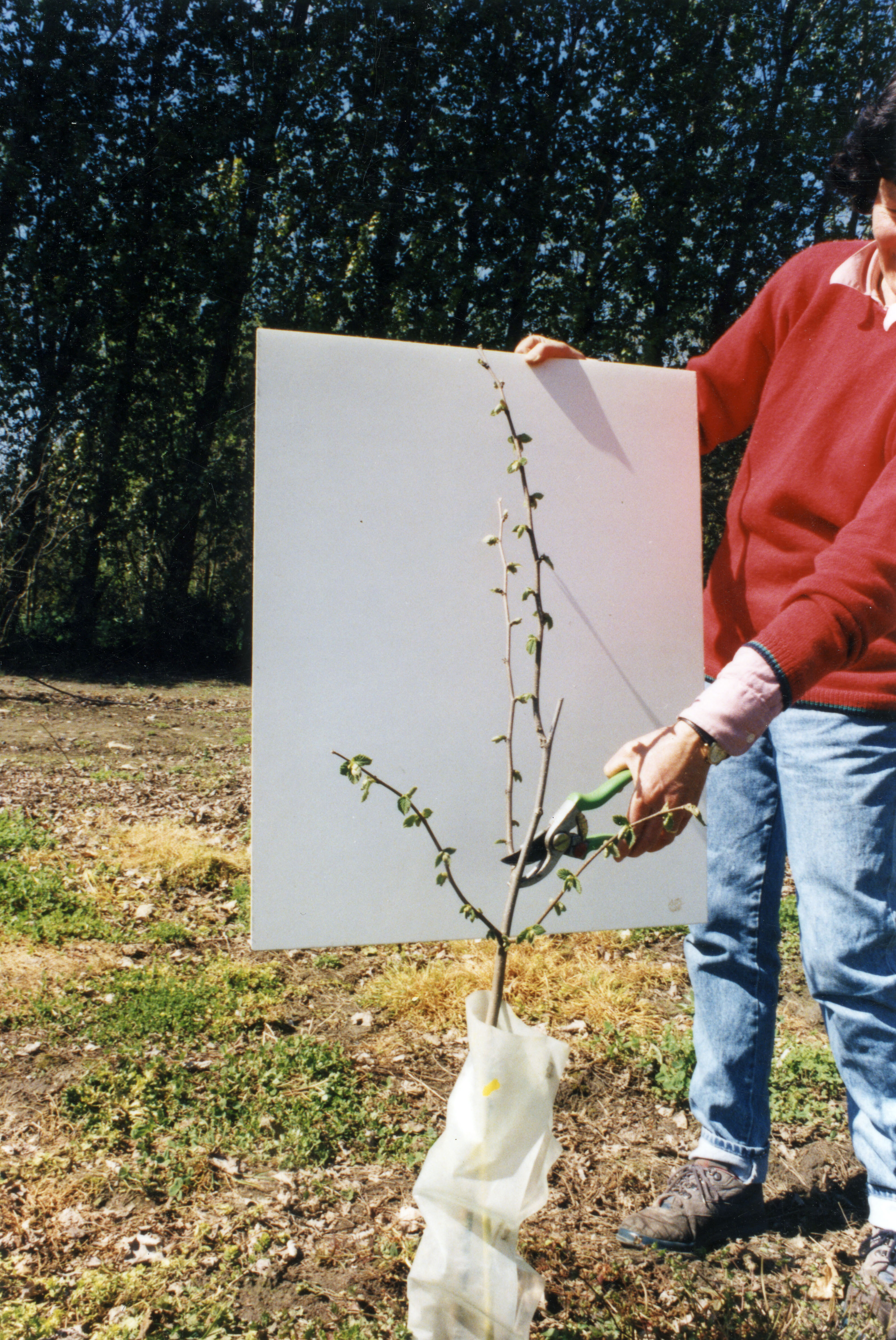 Horticulture Research Images 12