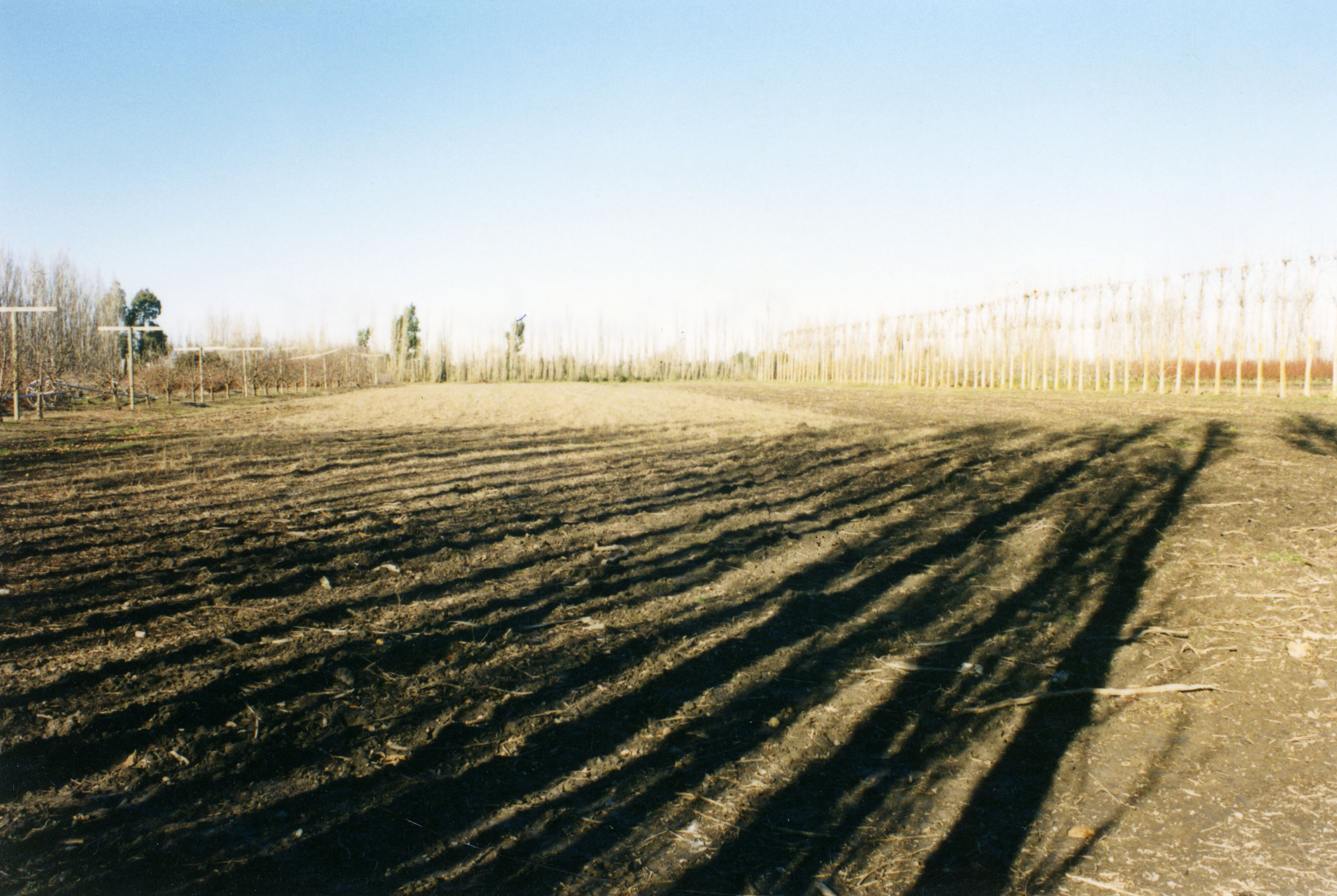 Horticulture Research Images 23