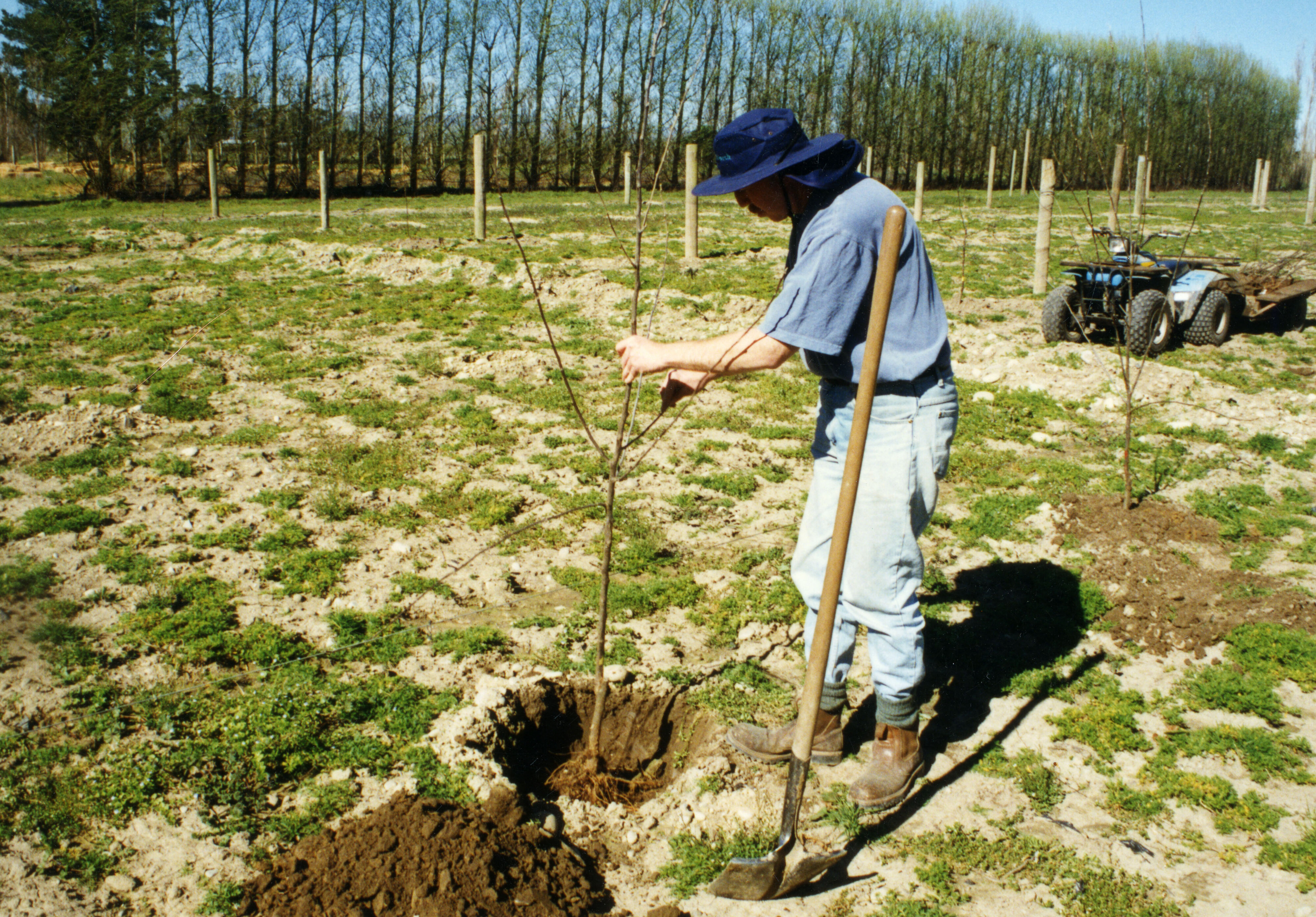 Horticulture Research Images 29