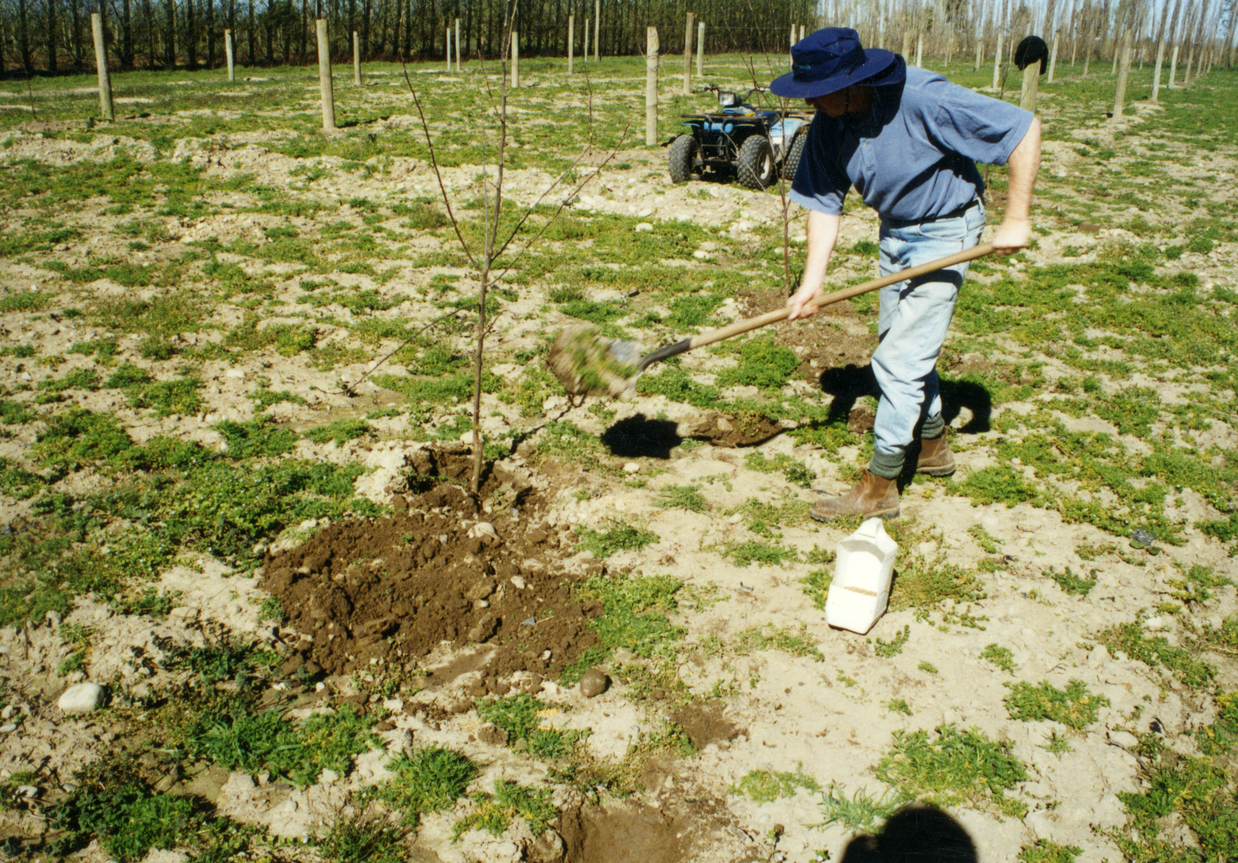 Horticulture Research Images 33