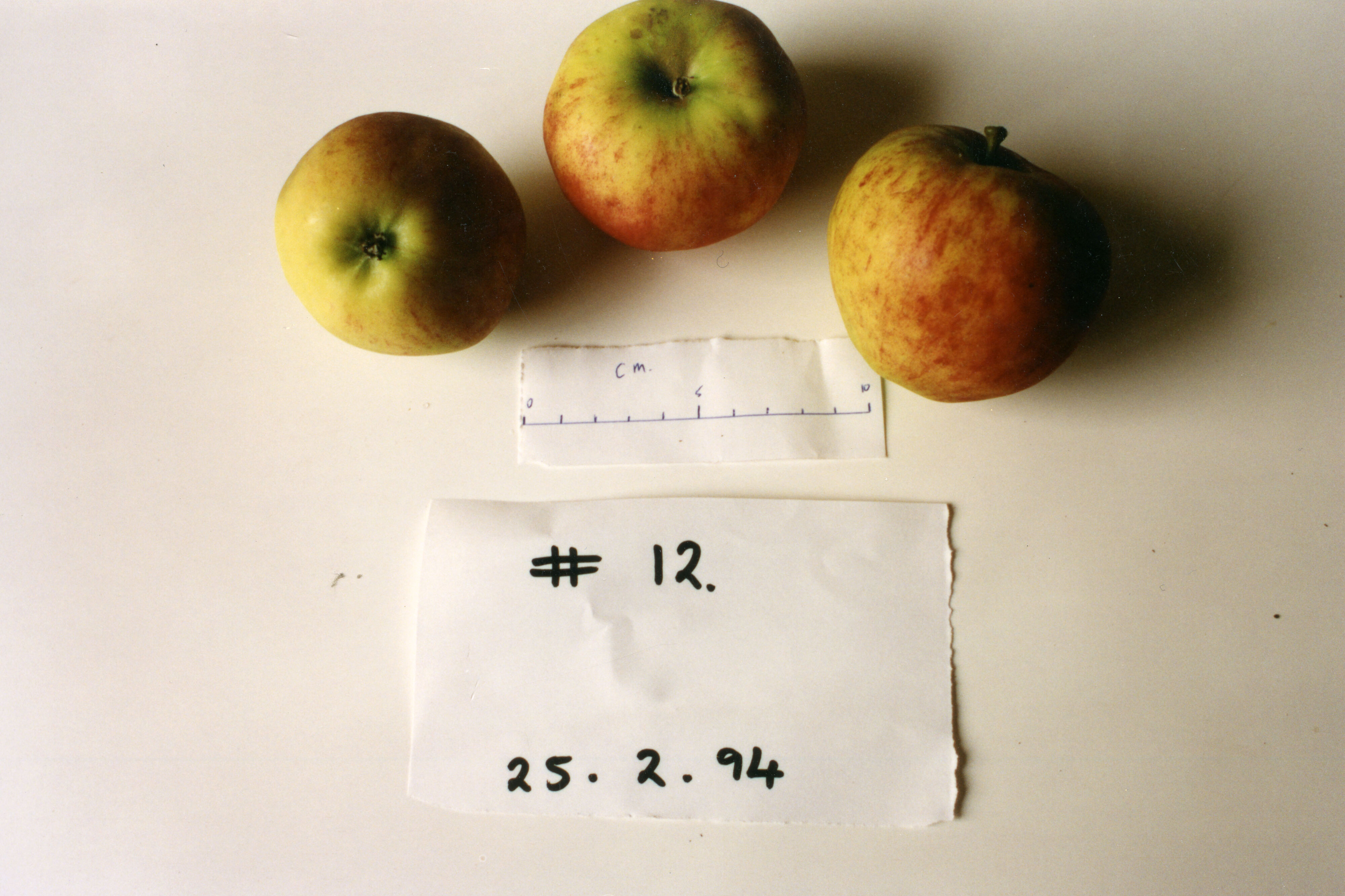 Horticulture Research Images 40