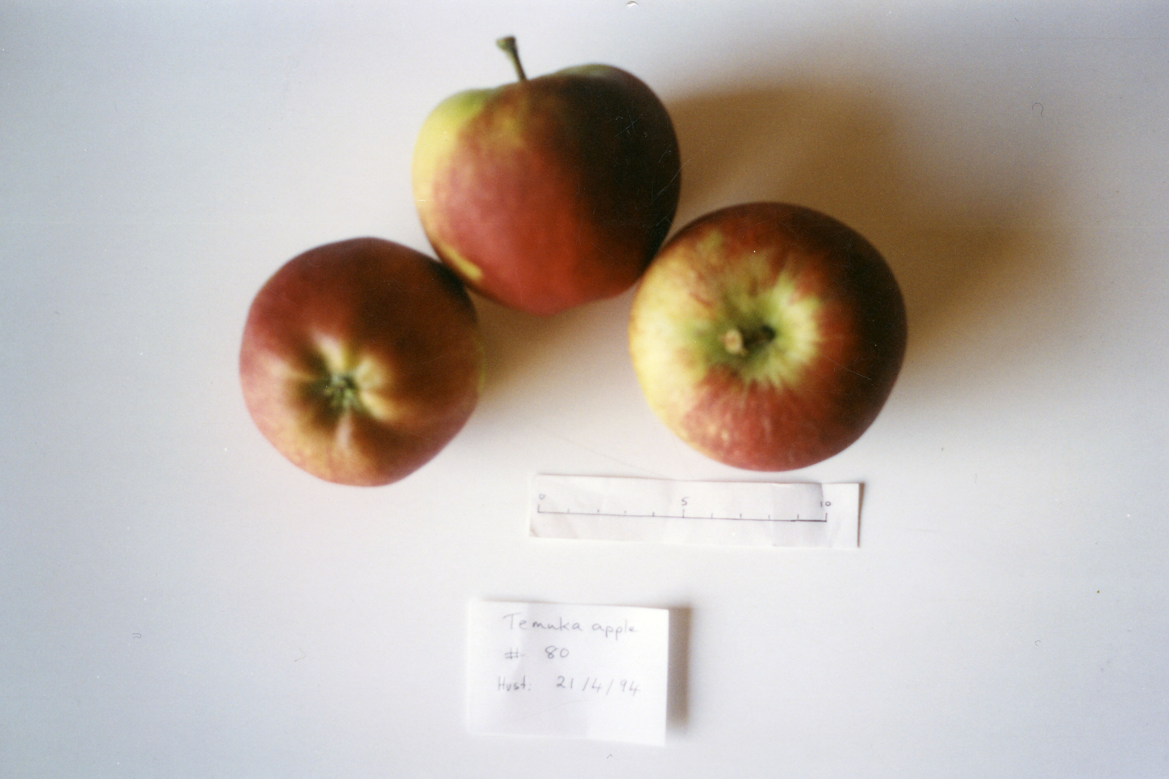 Horticulture Research Images 42